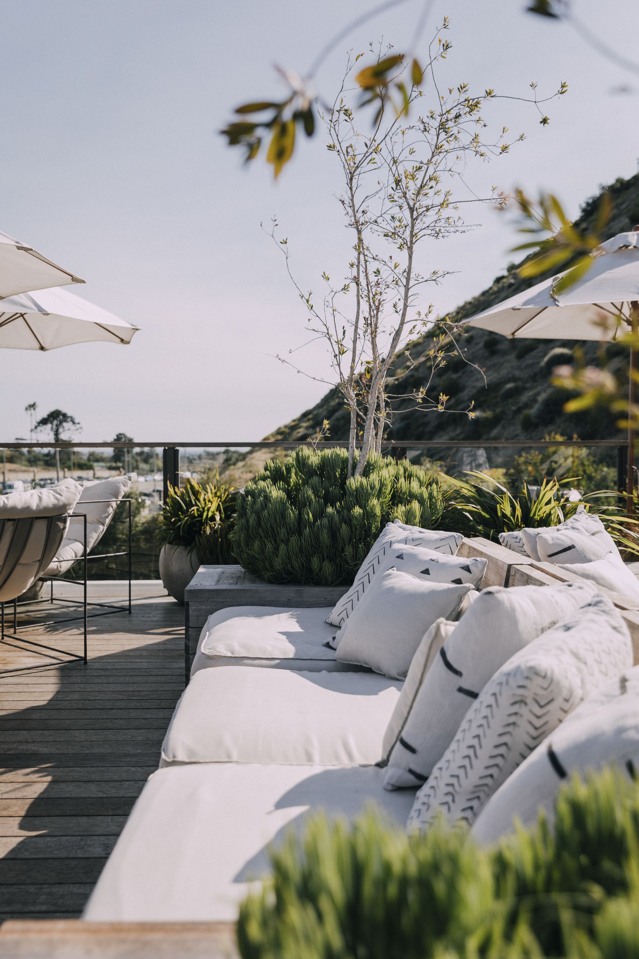 The Surfrider Malibu The Surfrider Malibu