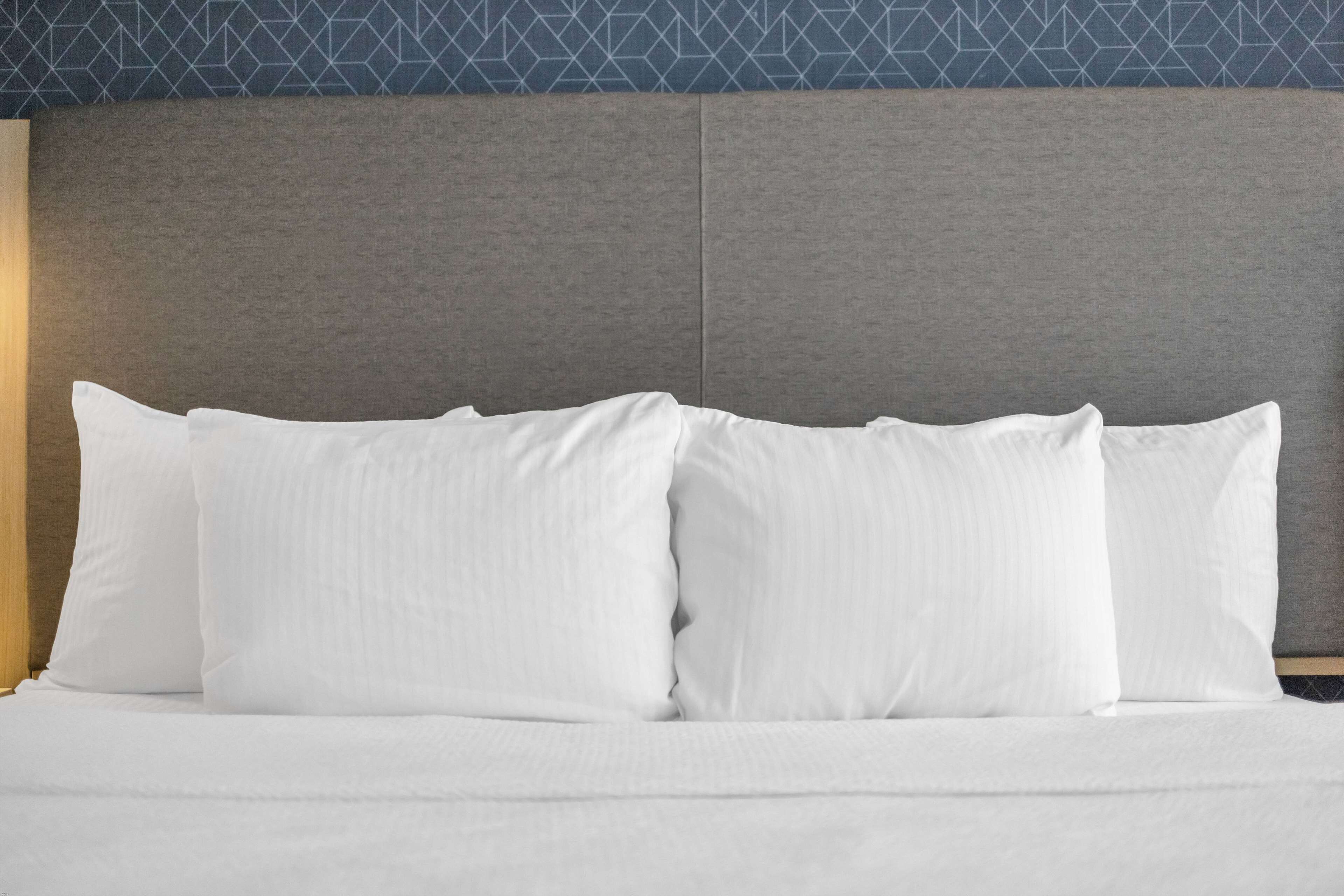 La Quinta Inn & Suites by Wyndham San Jose Airport-Downtown La Quinta Inn & Suites by Wyndham San Jose Airport-Downtown