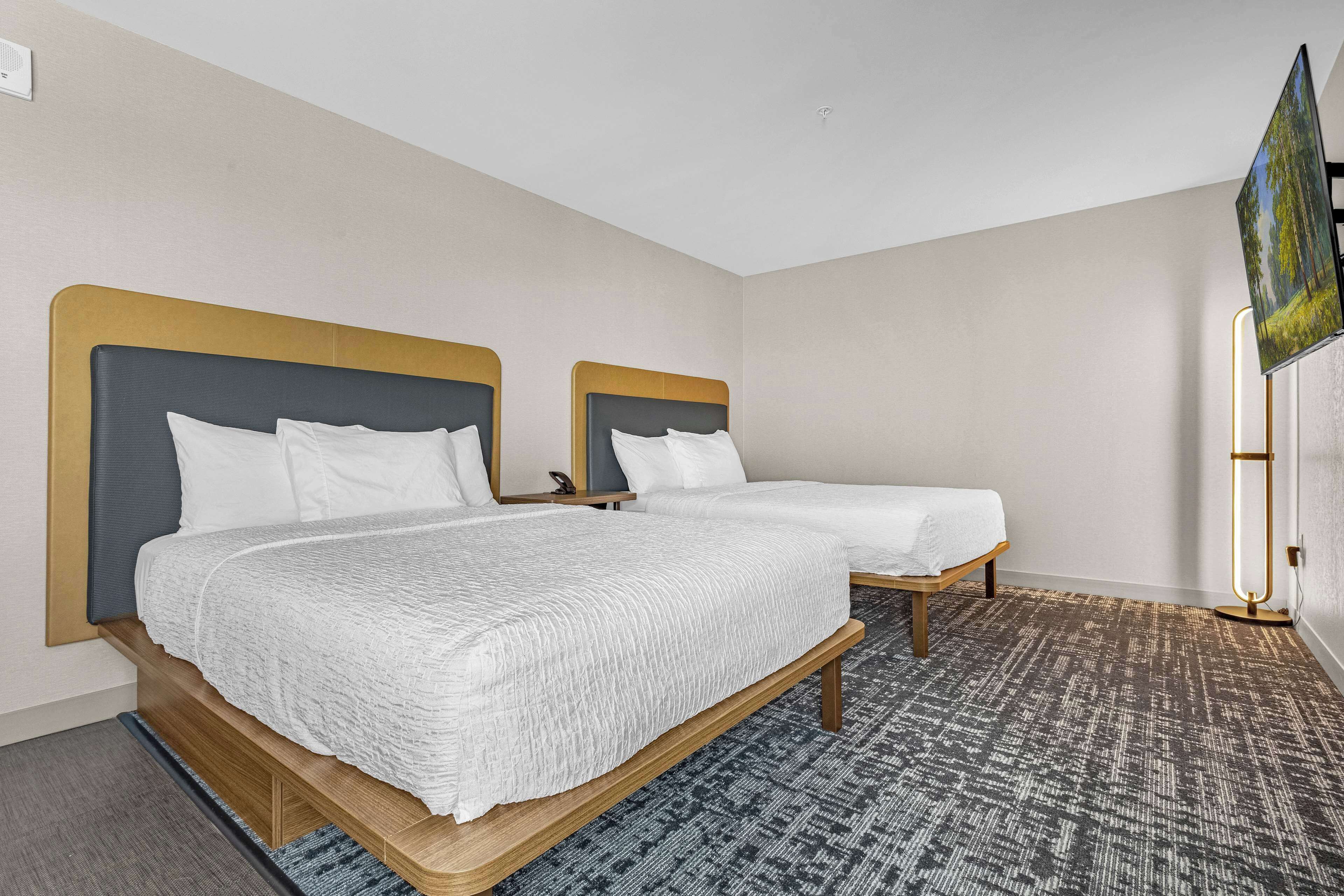 Homewood Suites by Hilton Colorado Springs Airport