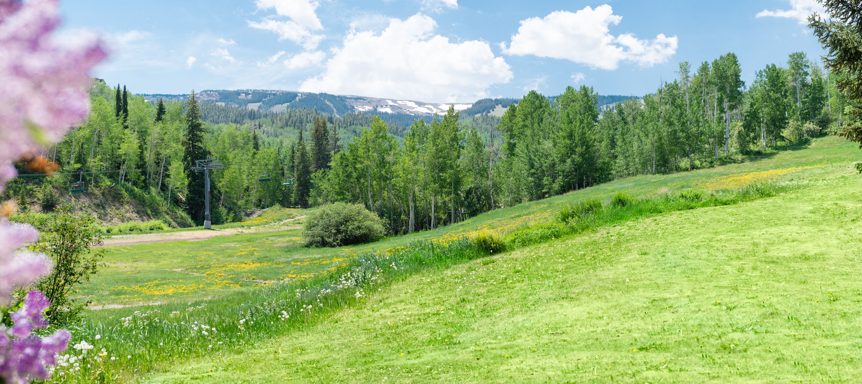 Laurelwood Condominiums Laurelwood Condominiums