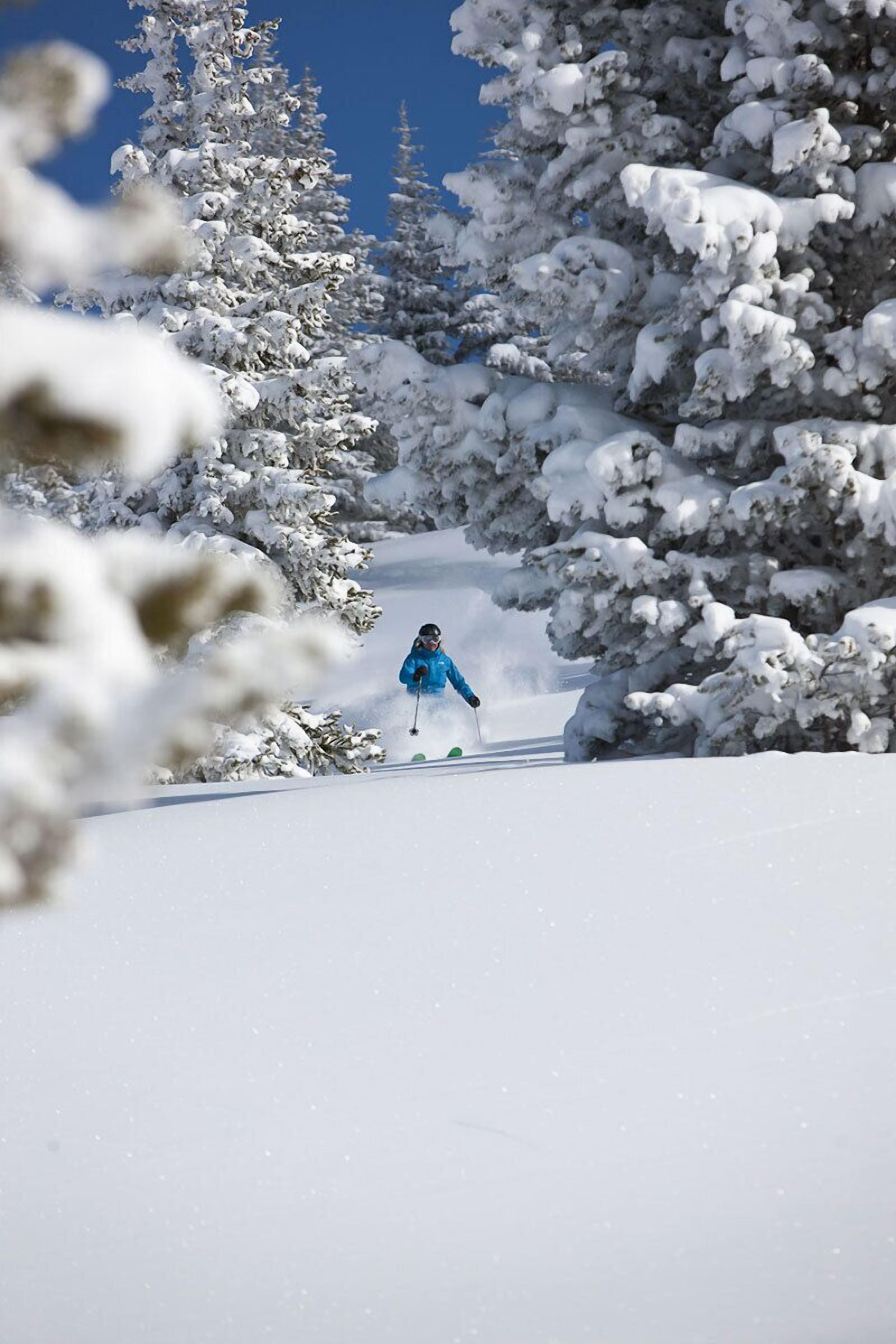Simba Run Vail Simba Run Vail