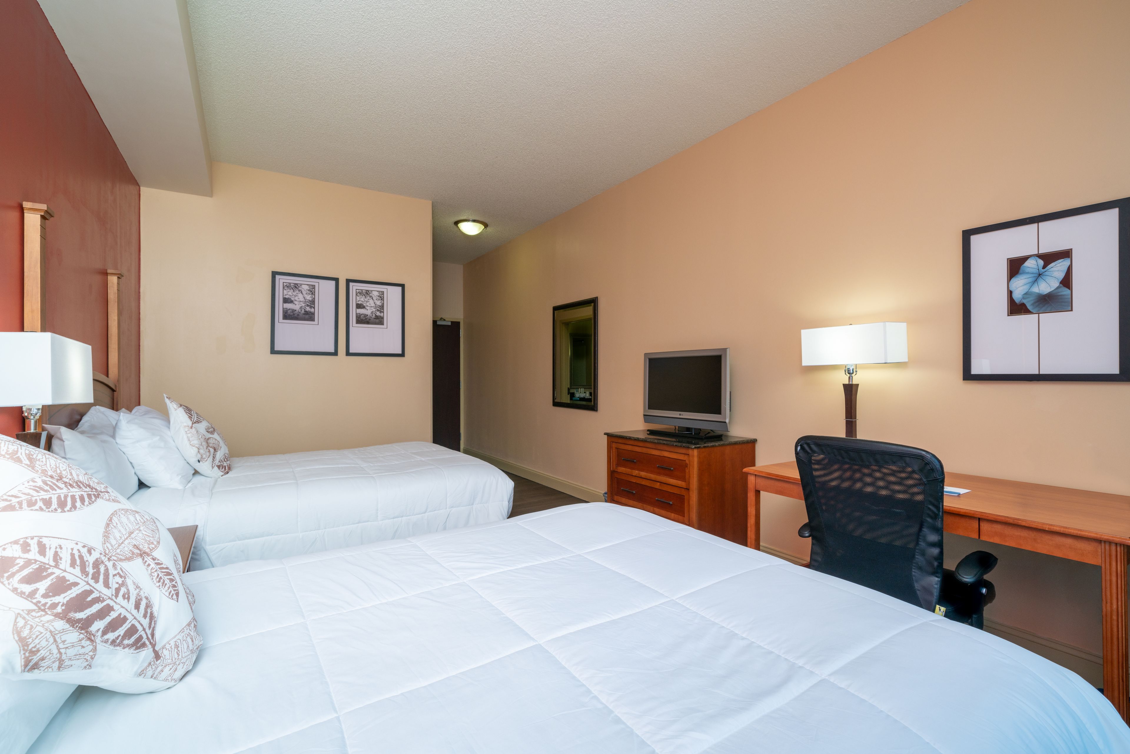 City Express by Marriott Washington, DC Northeast