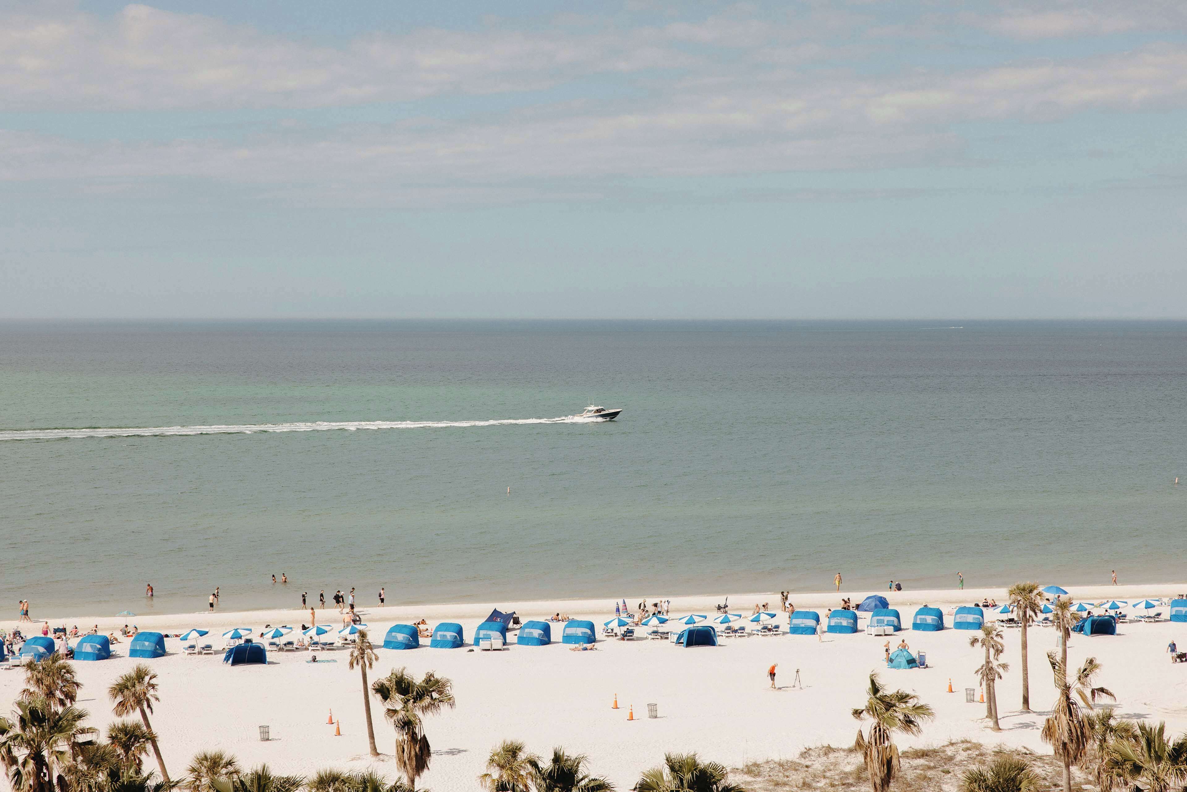 The Hiatus Clearwater Beach, Curio Collection by Hilton The Hiatus Clearwater Beach, Curio Collection by Hilton