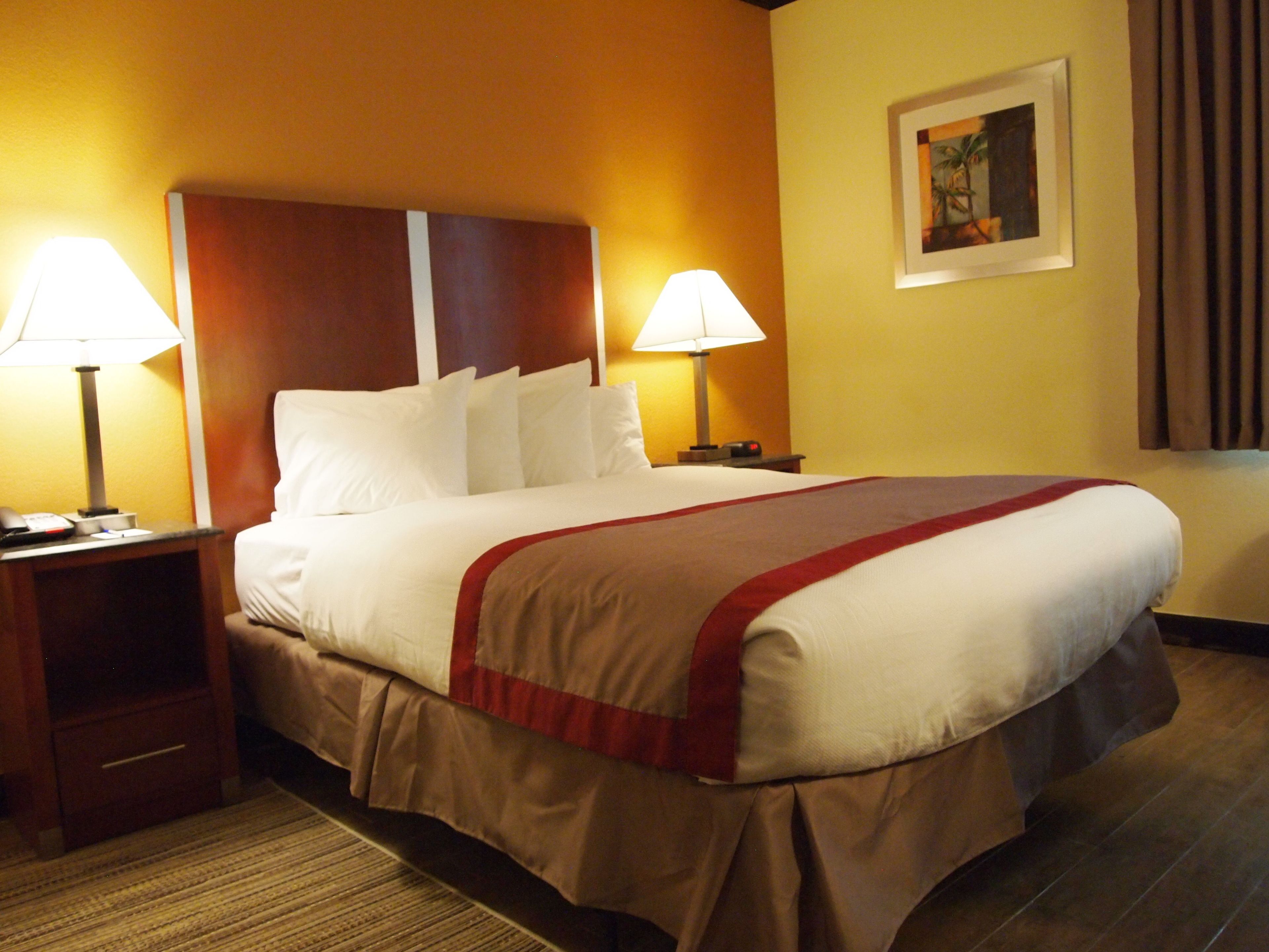Best Western Ft. Lauderdale I-95 Inn Best Western Ft. Lauderdale I-95 Inn