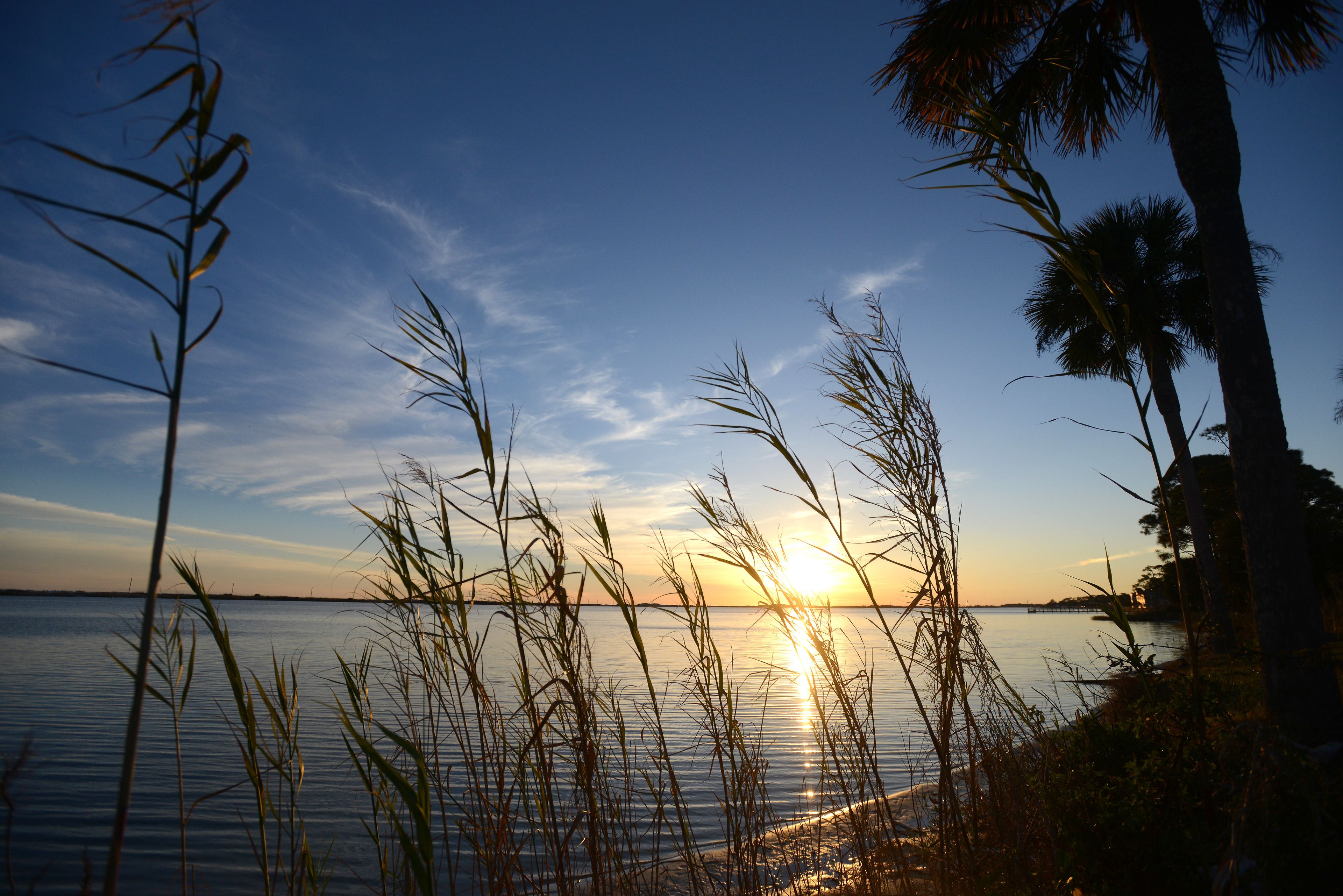 Quality Inn Quality Inn