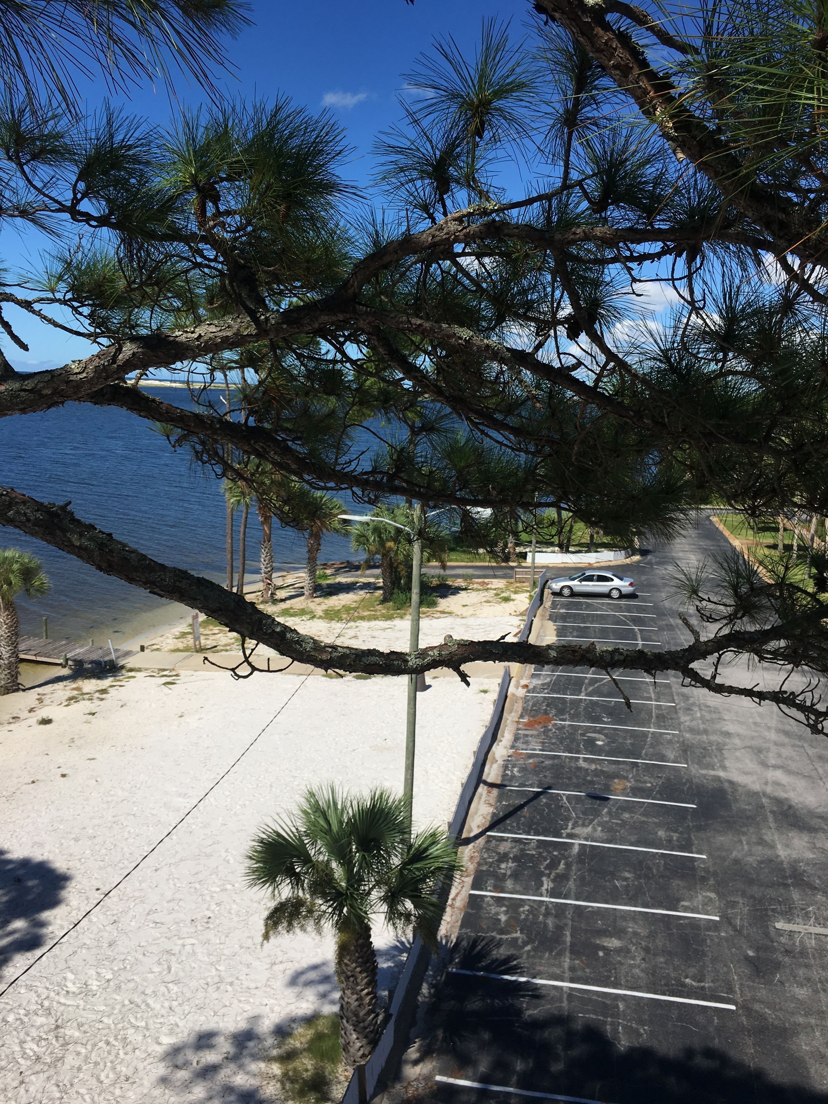 Quality Inn Quality Inn