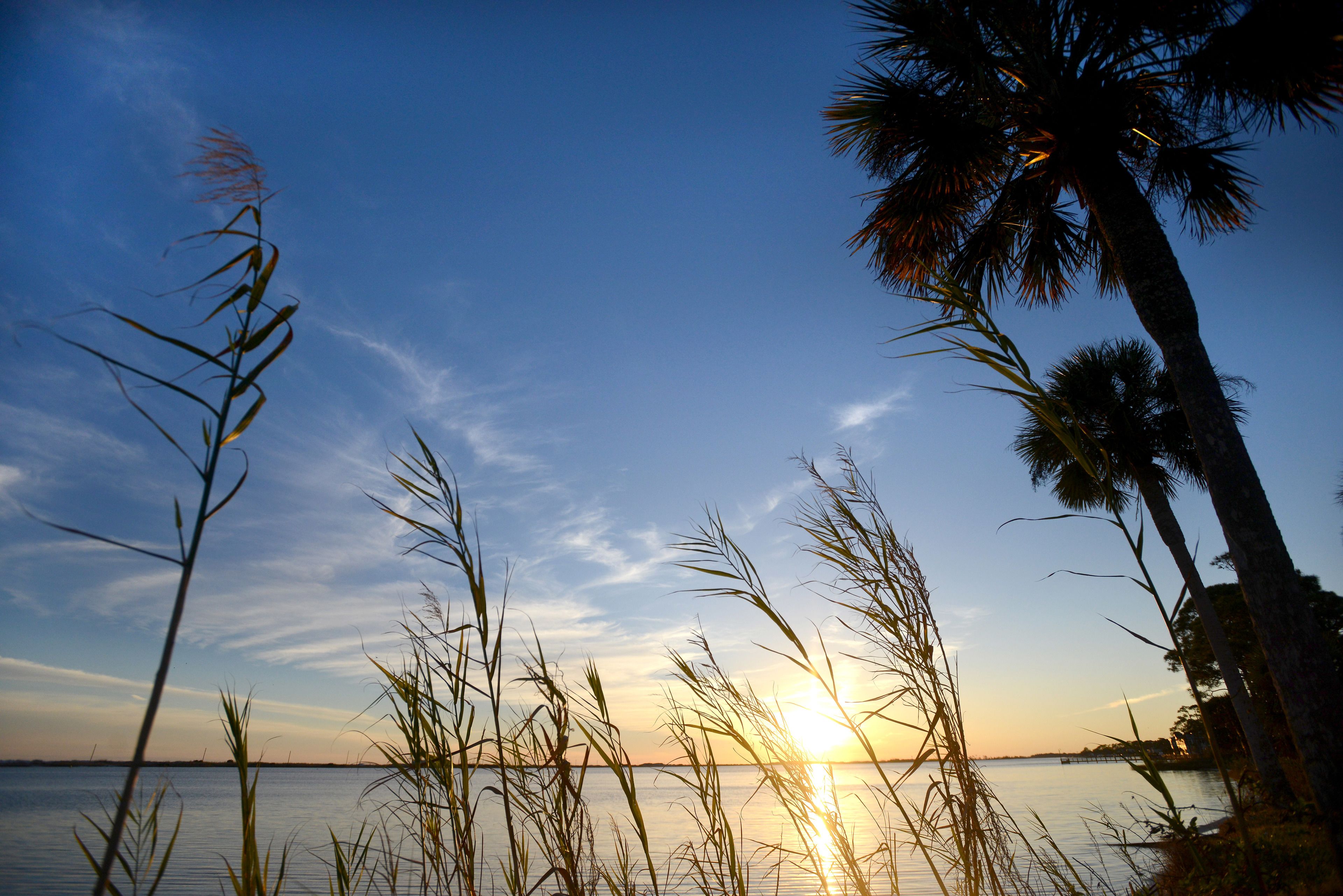 Quality Inn Quality Inn