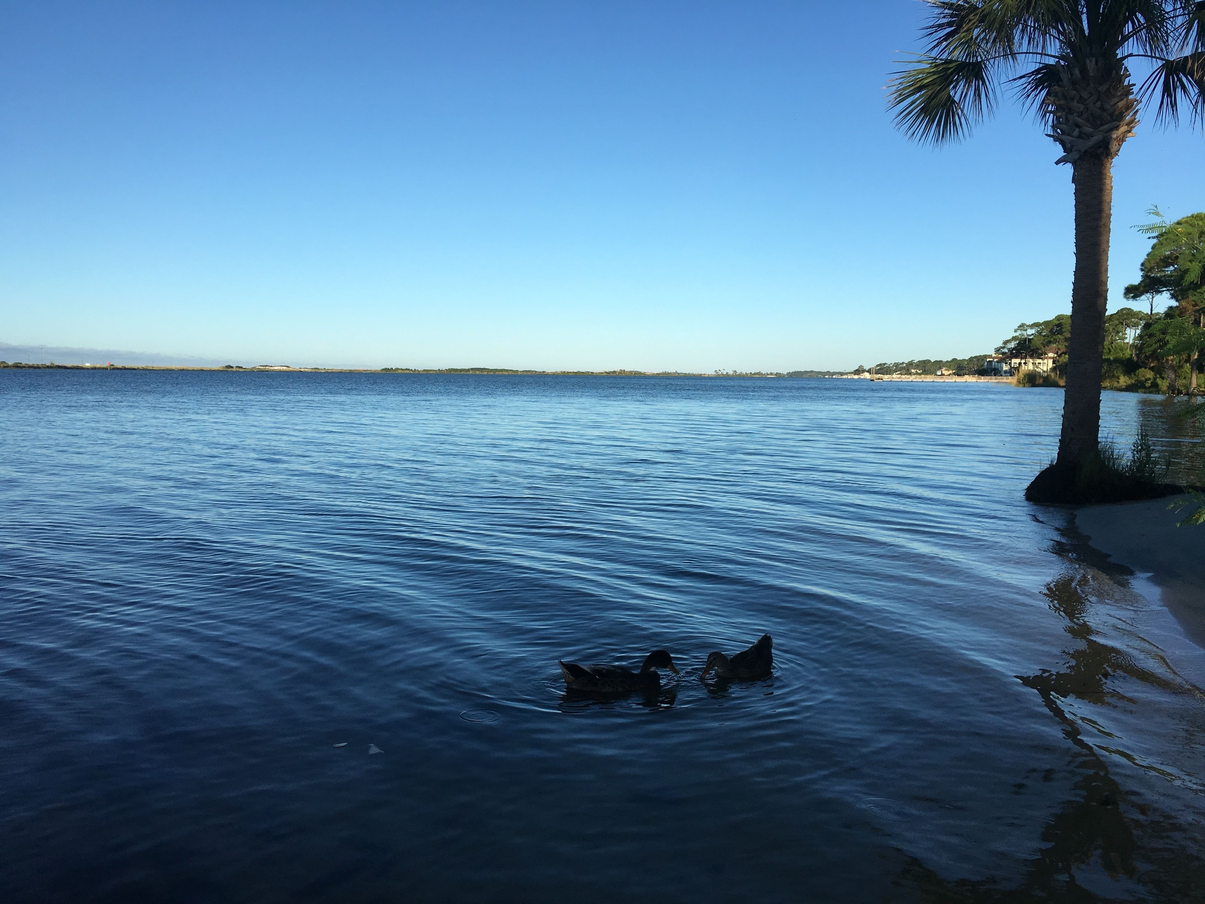 Quality Inn Quality Inn