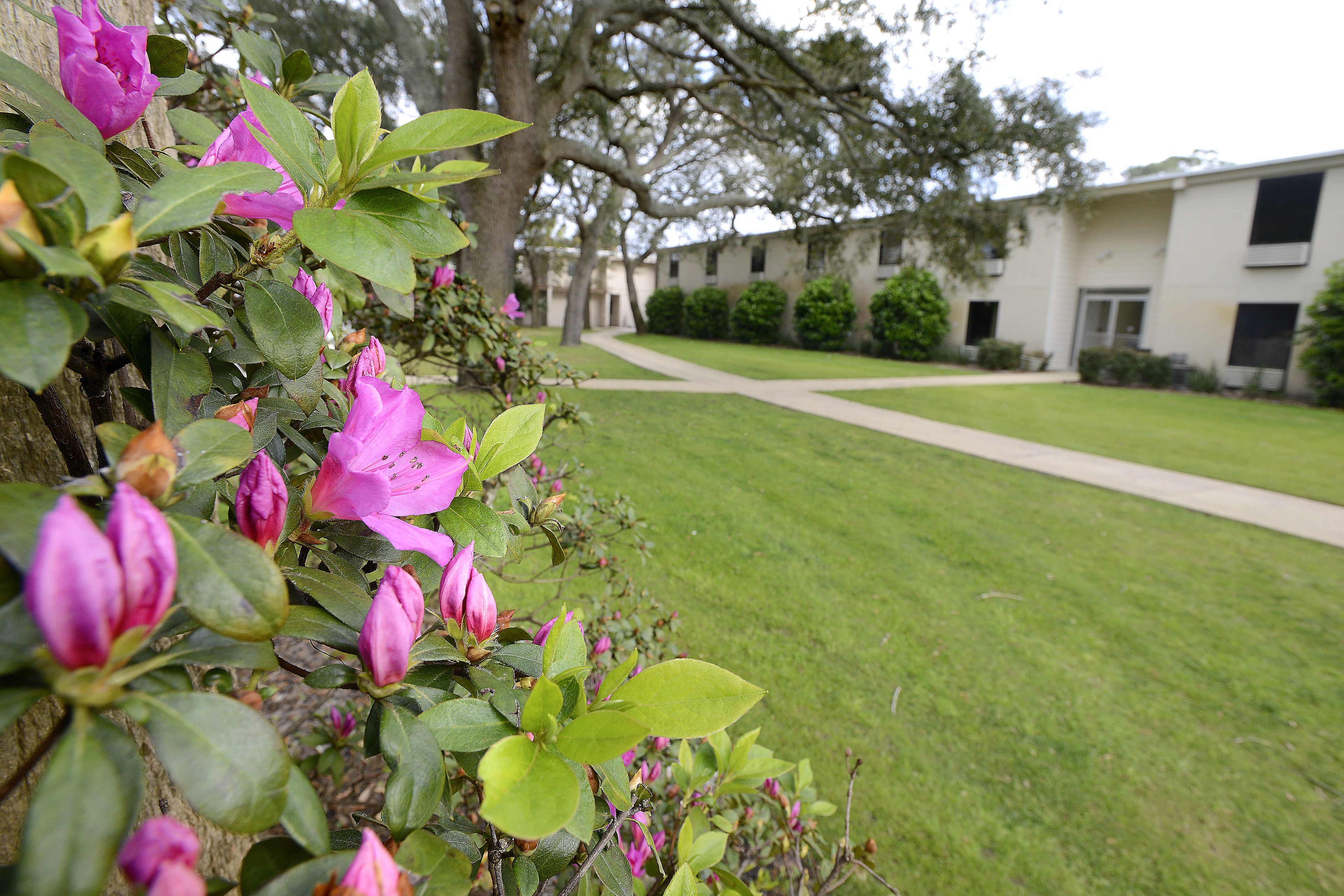 Quality Inn Quality Inn