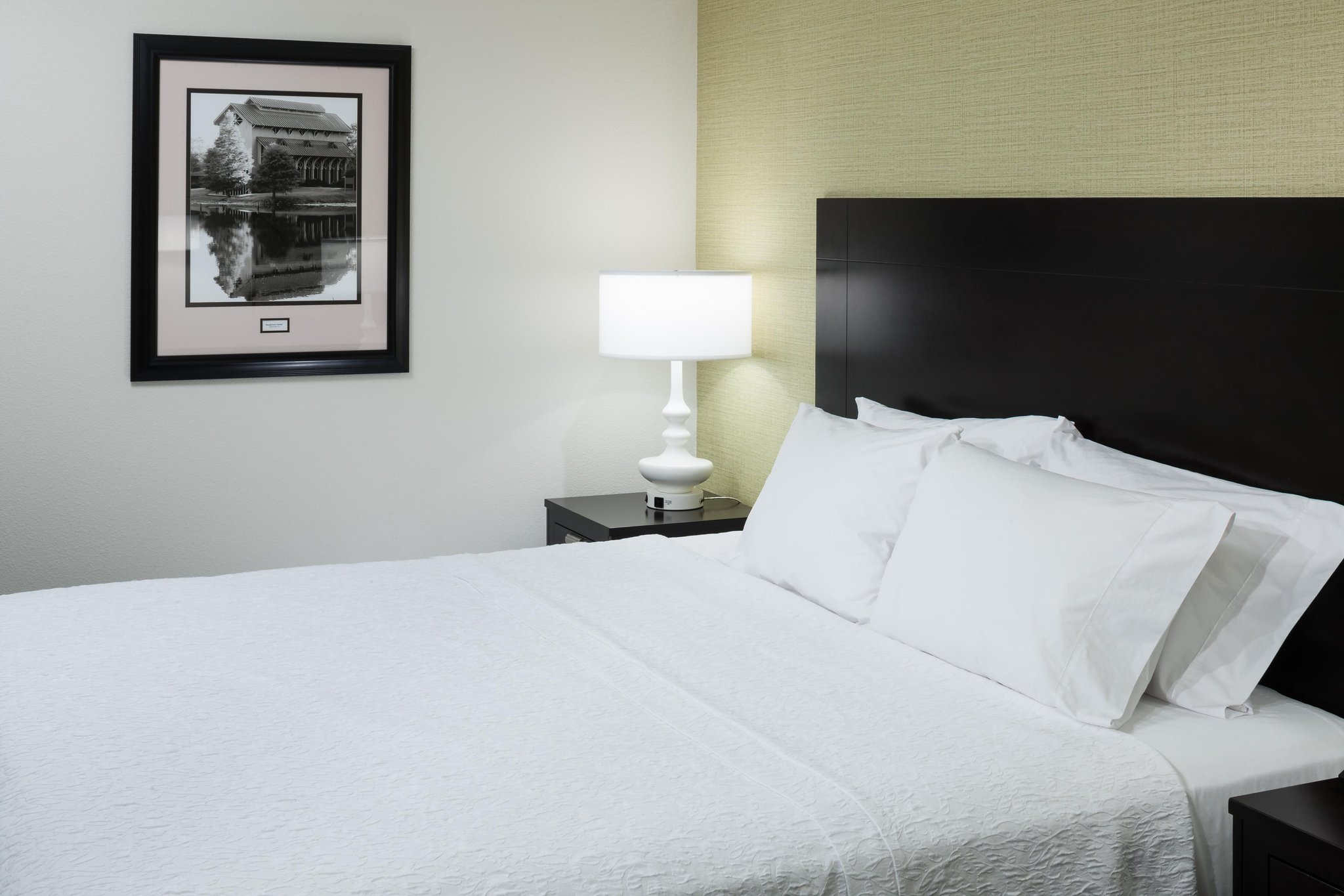 Hampton Inn Suites - Gainesville Downtown Hampton Inn Suites - Gainesville Downtown