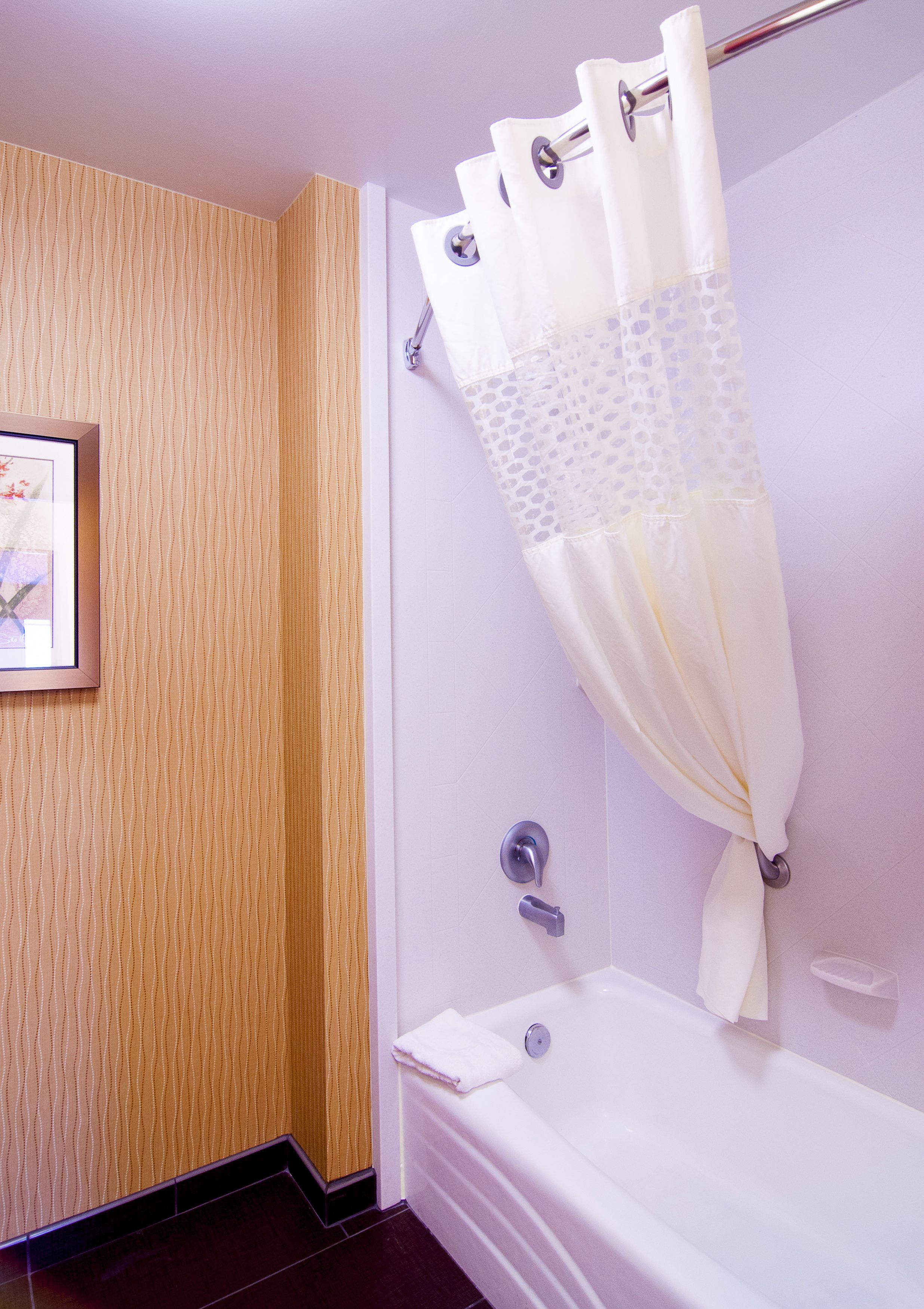 Hampton Inn & Suites Tampa North Hampton Inn & Suites Tampa North