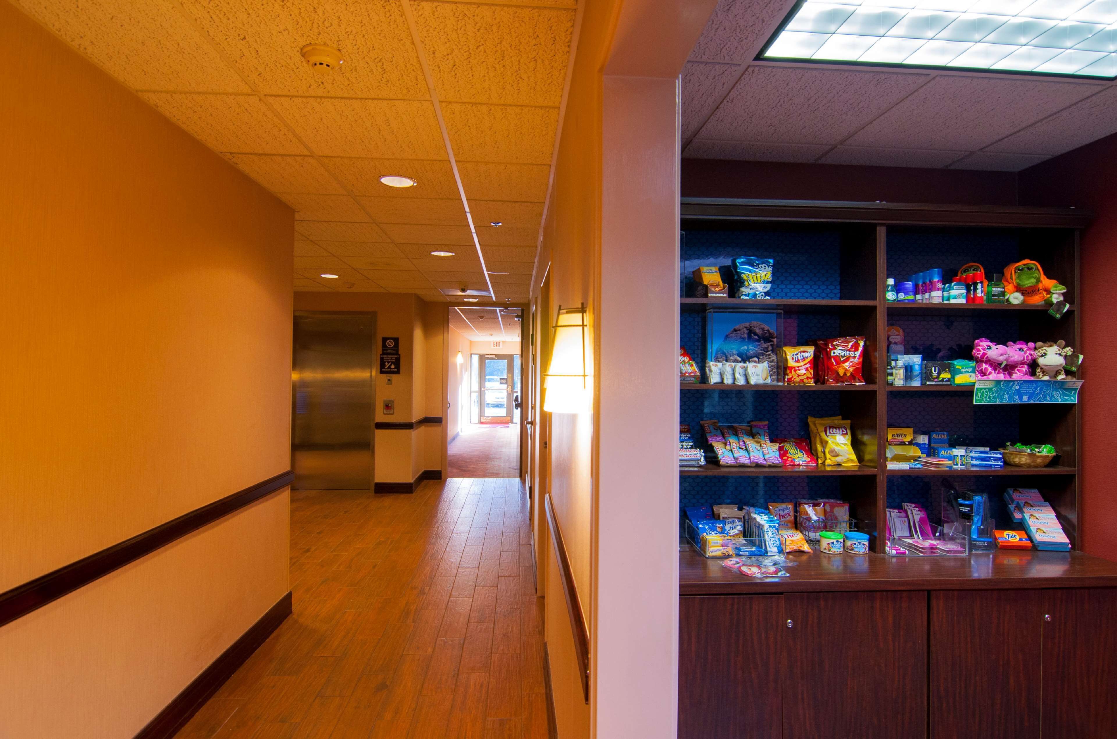 Hampton Inn & Suites Tampa North Hampton Inn & Suites Tampa North