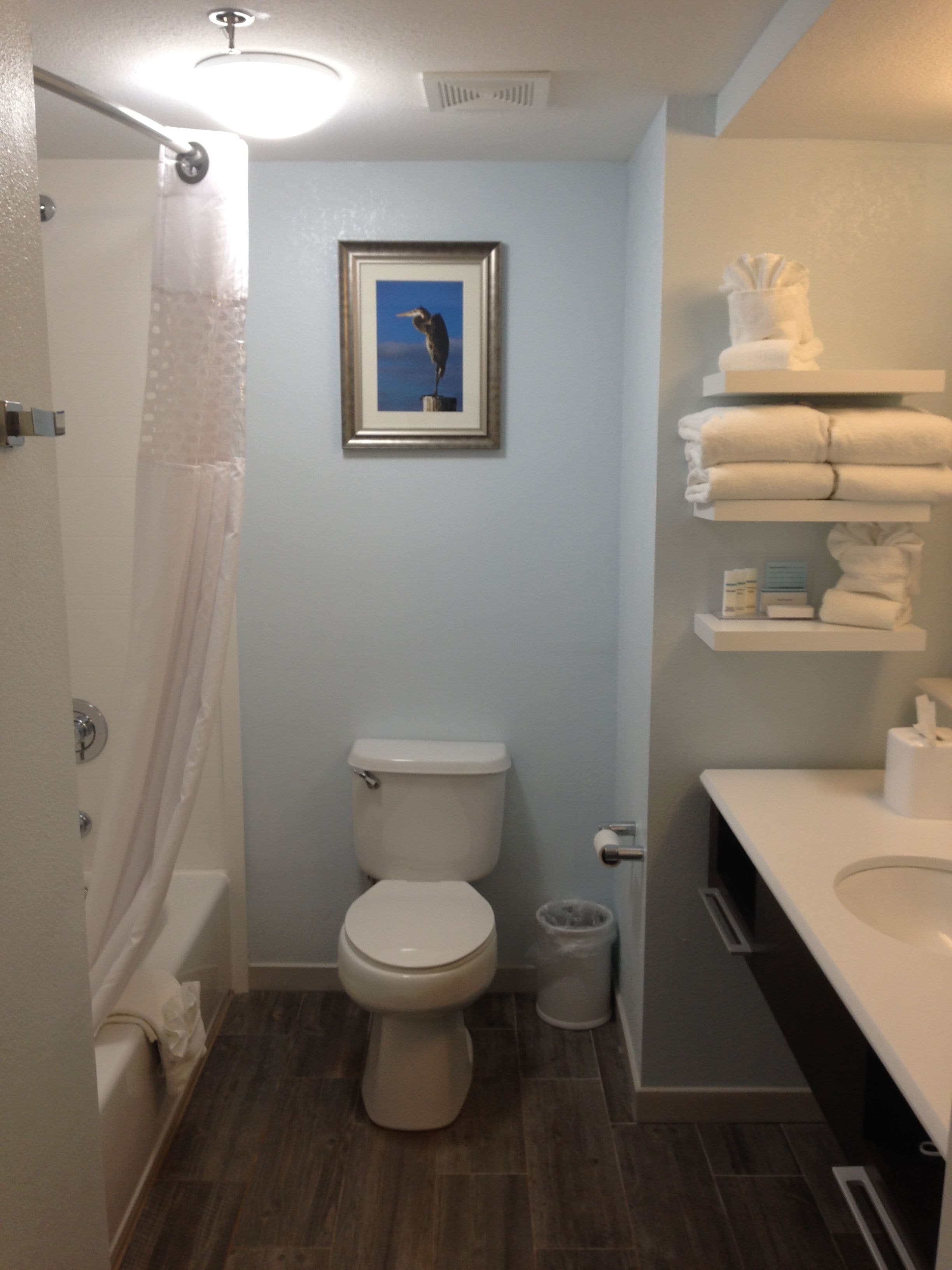 Hampton Inn Tampa Rocky Point Hampton Inn Tampa Rocky Point