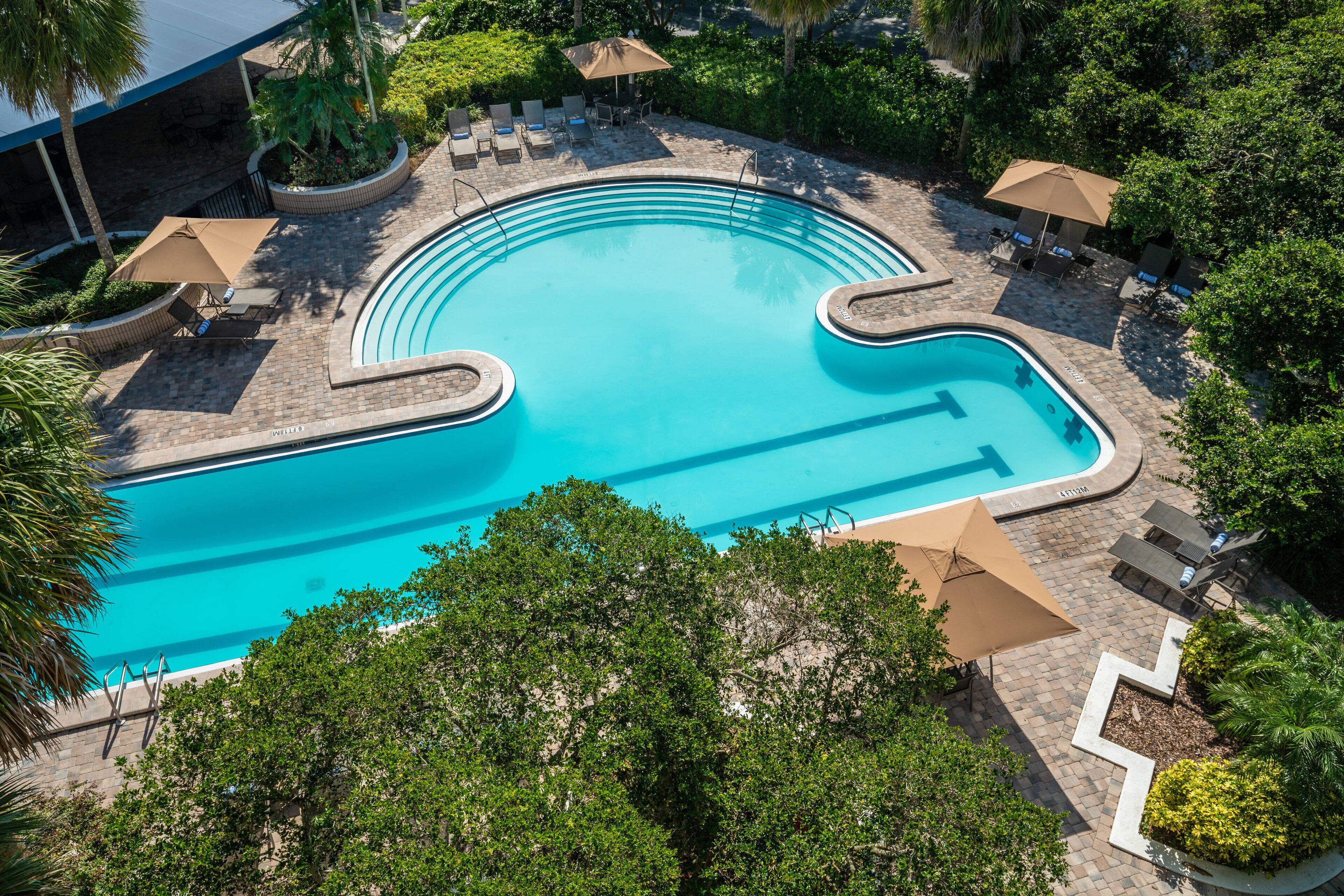 Sheraton Tampa Brandon Hotel Sheraton Tampa Brandon Hotel