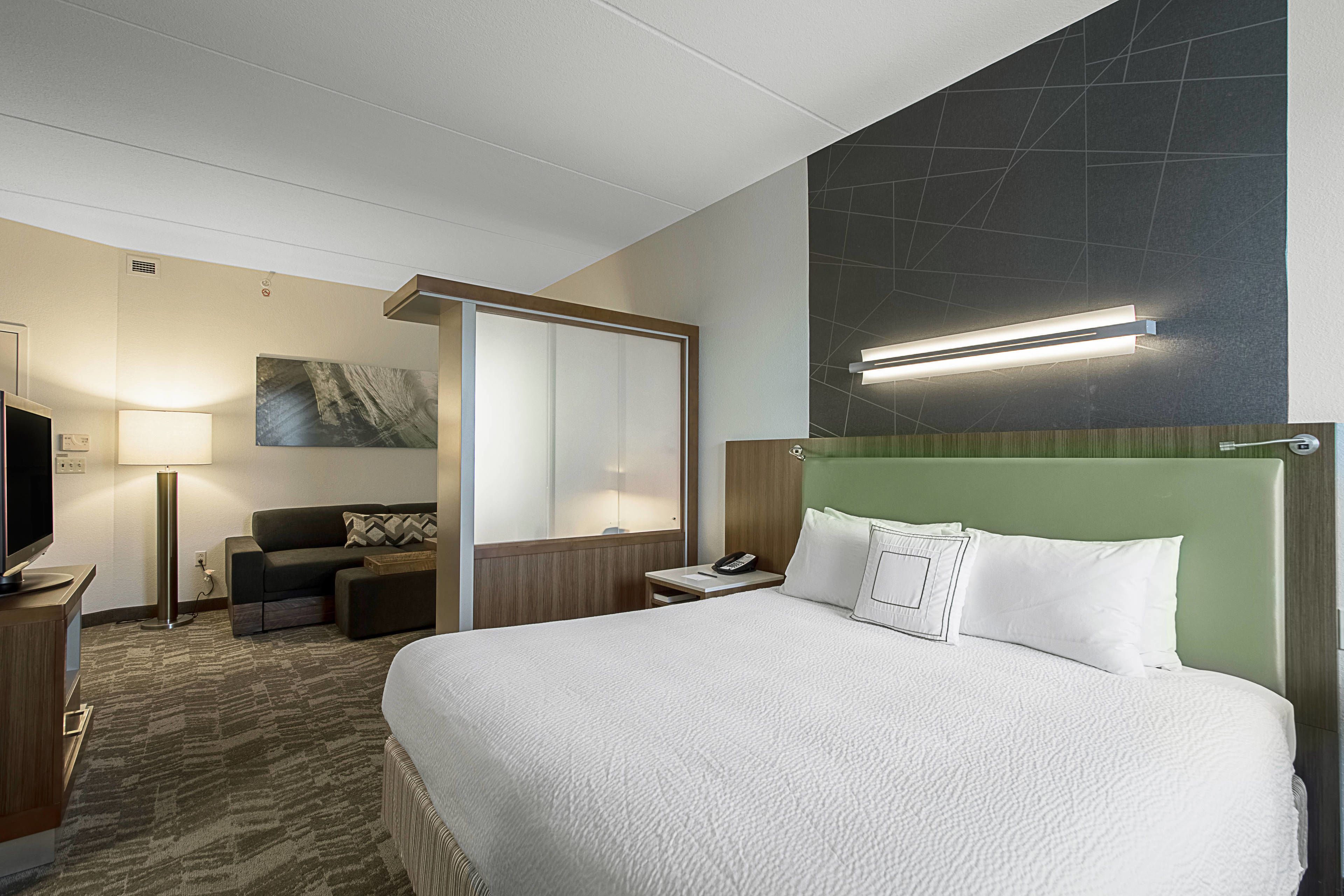 Springhill Suites Tampa North/I-75 Tampa Palms Springhill Suites Tampa North/I-75 Tampa Palms