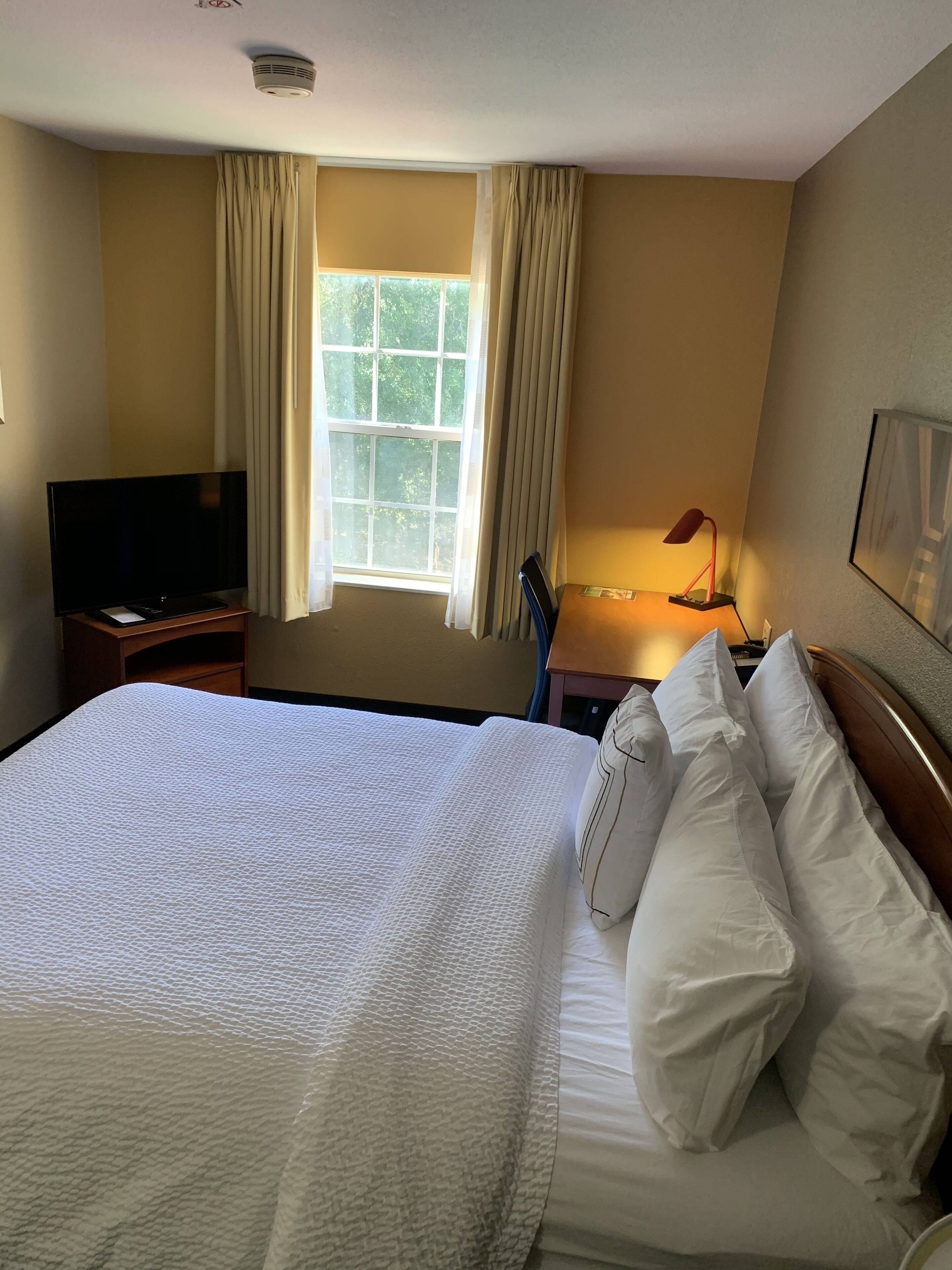 MainStay Suites Tampa Moffitt-USF MainStay Suites Tampa Moffitt-USF