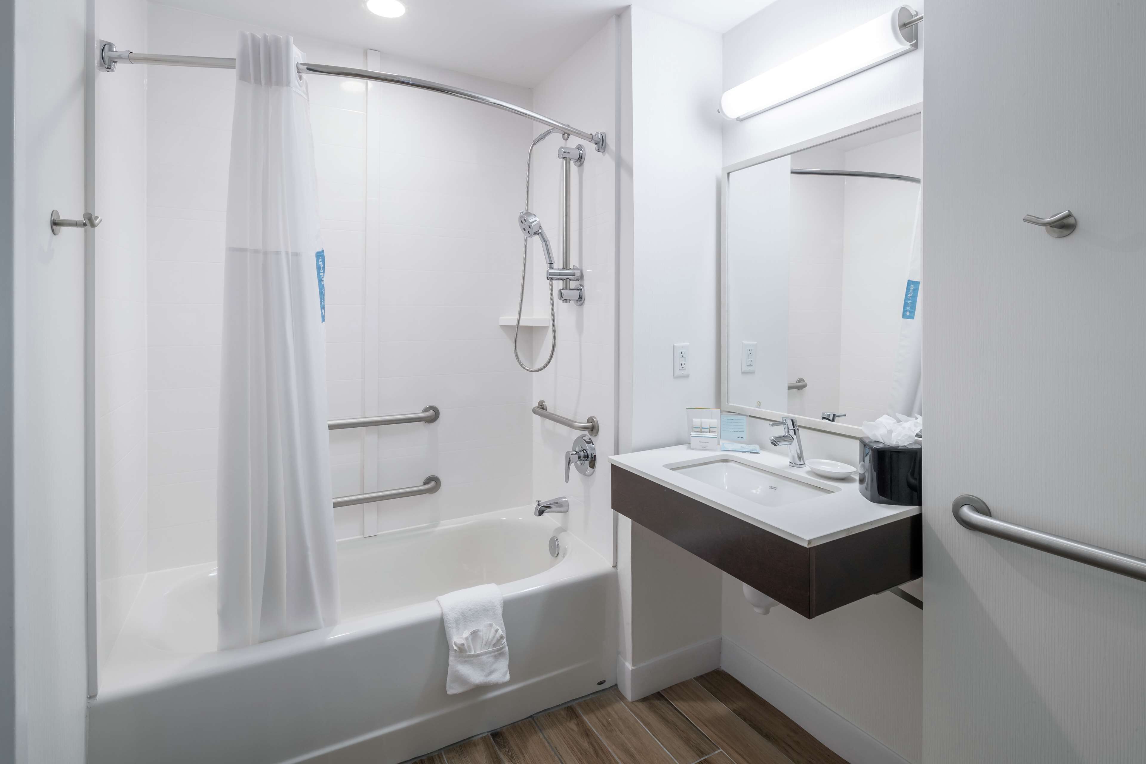 Hampton Inn & Suites Atlanta-Downtown Hampton Inn & Suites Atlanta-Downtown