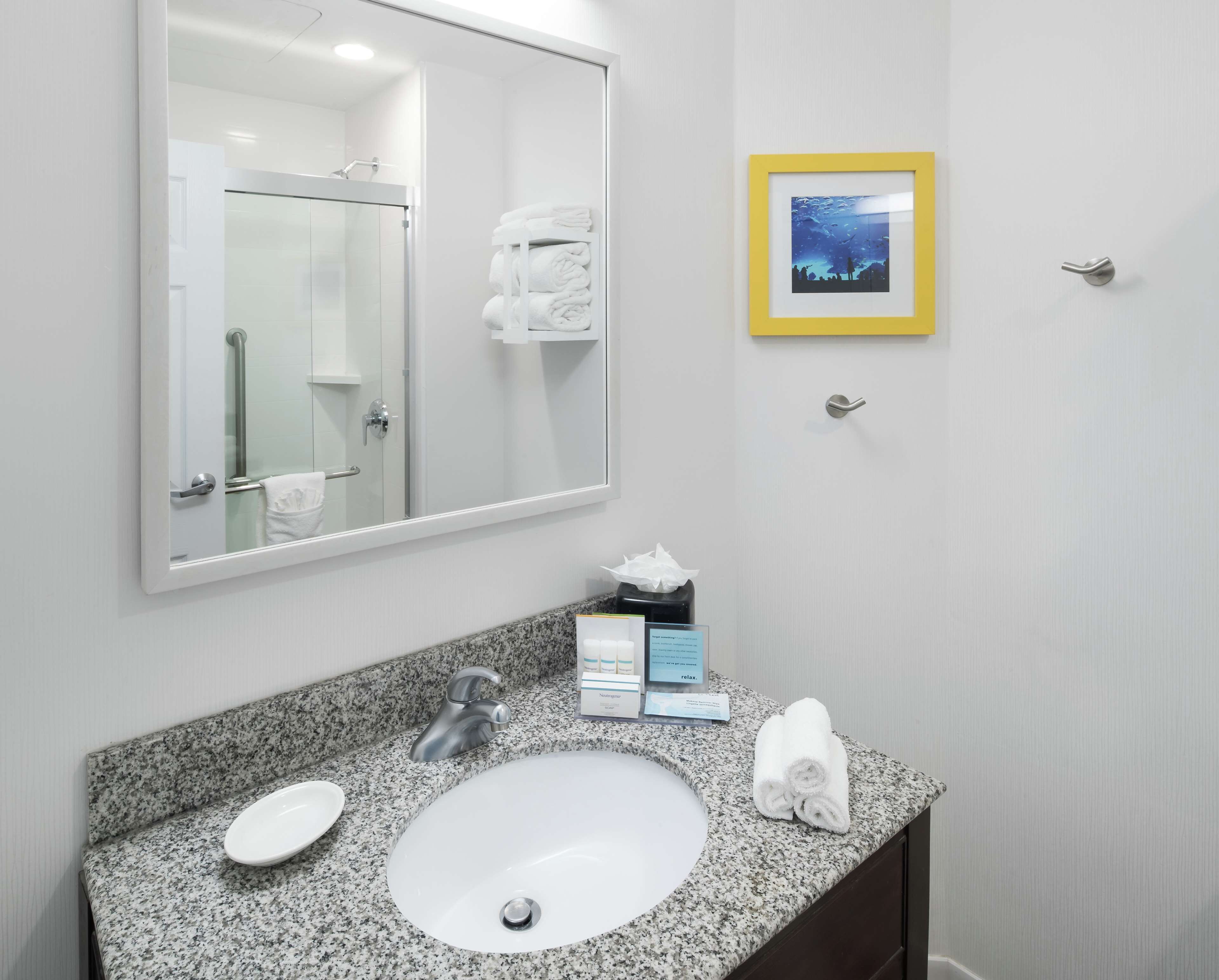 Hampton Inn & Suites Atlanta-Downtown Hampton Inn & Suites Atlanta-Downtown