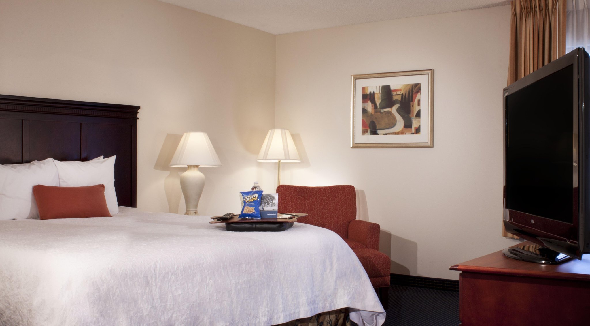 Hampton Inn Atlanta Mall of Georgia Hampton Inn Atlanta Mall of Georgia