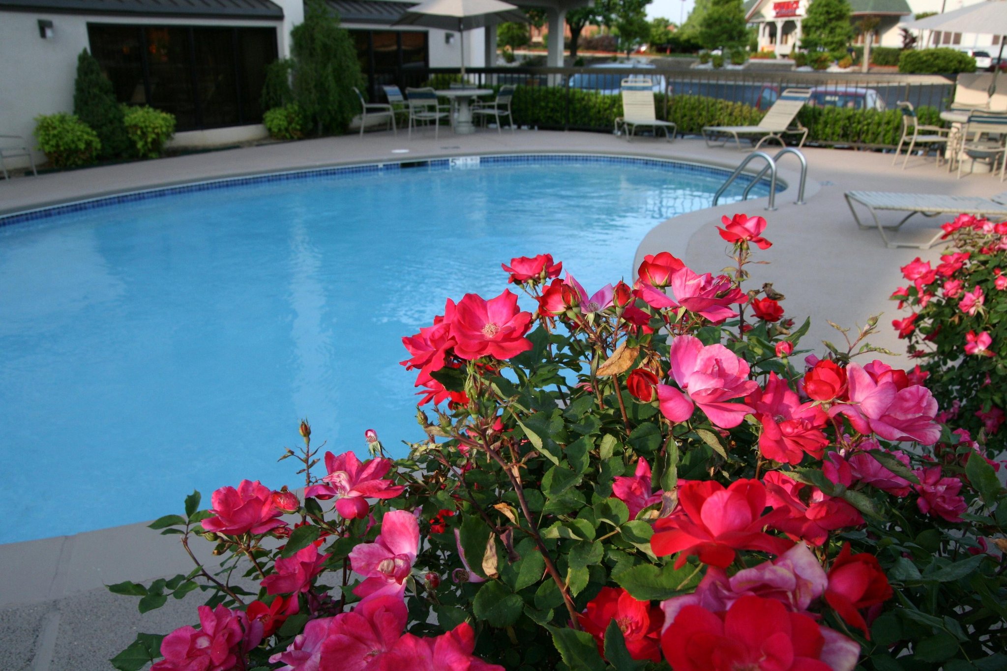 Hampton Inn Dalton Hampton Inn Dalton