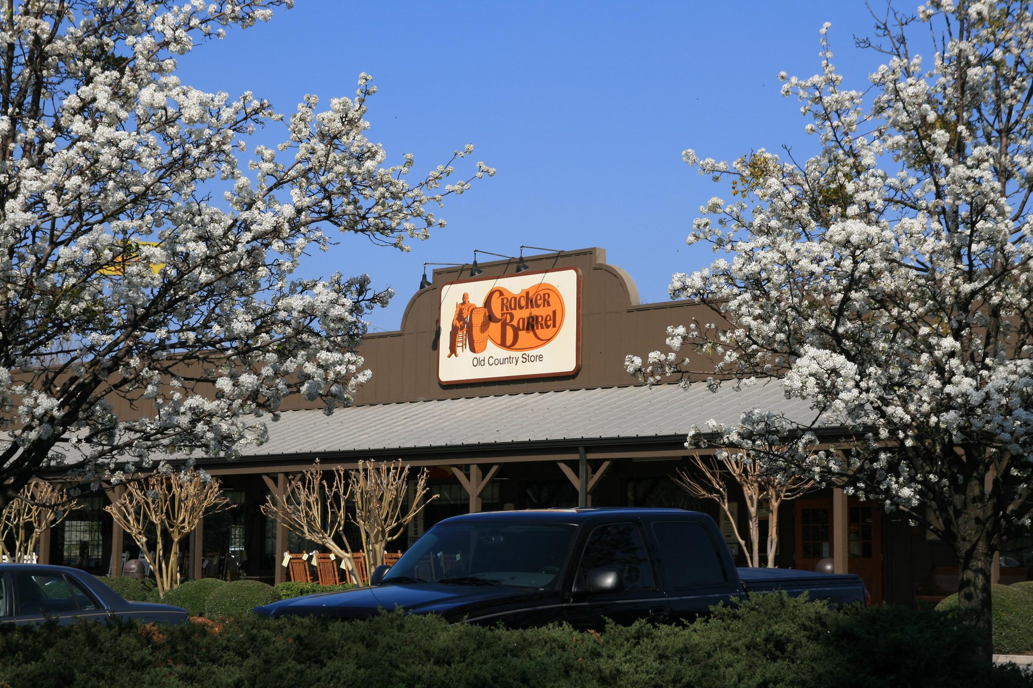 Hampton Inn Dalton Hampton Inn Dalton