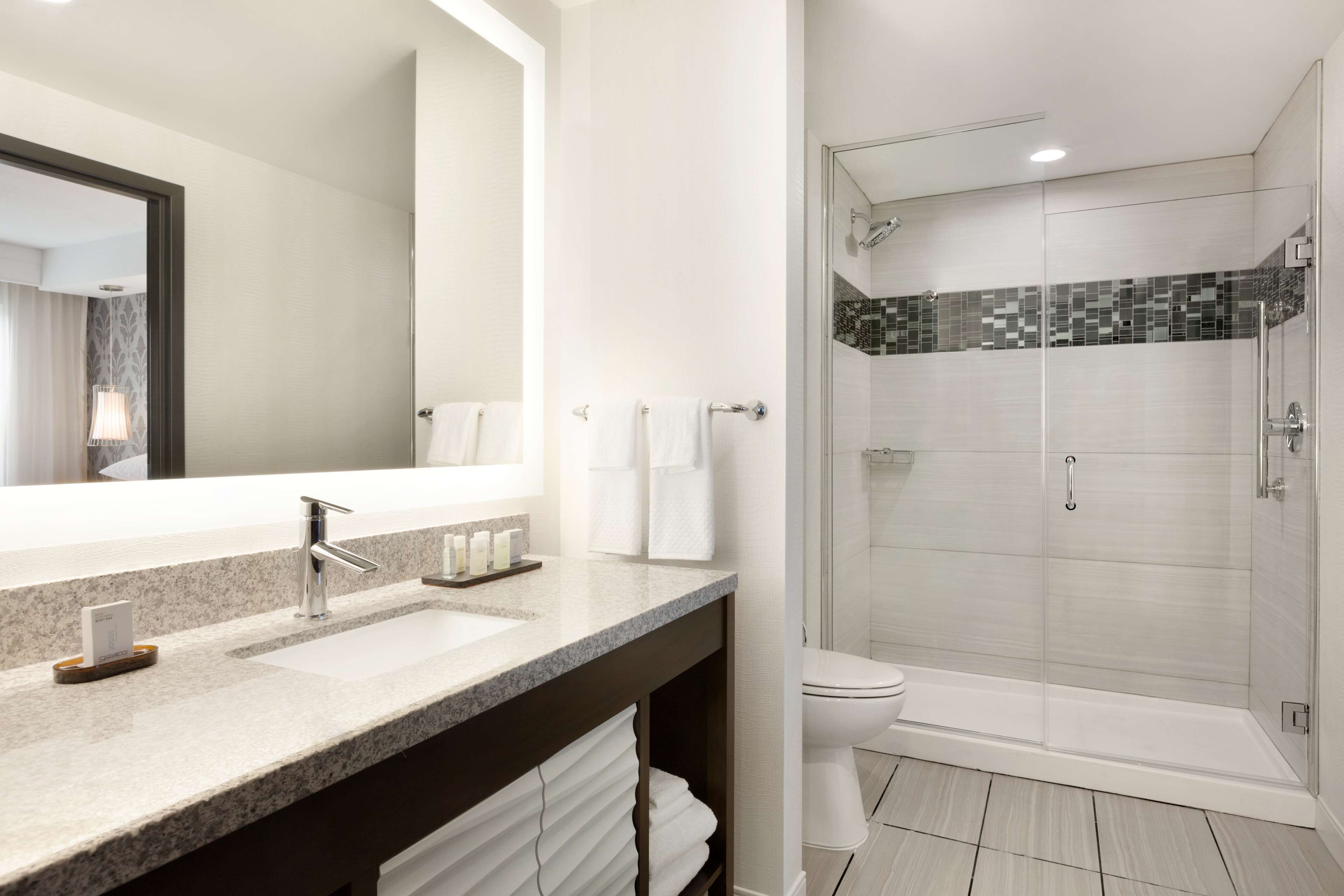 Embassy Suites by Hilton Atlanta NE Gwinnett Sugarloaf Embassy Suites by Hilton Atlanta NE Gwinnett Sugarloaf