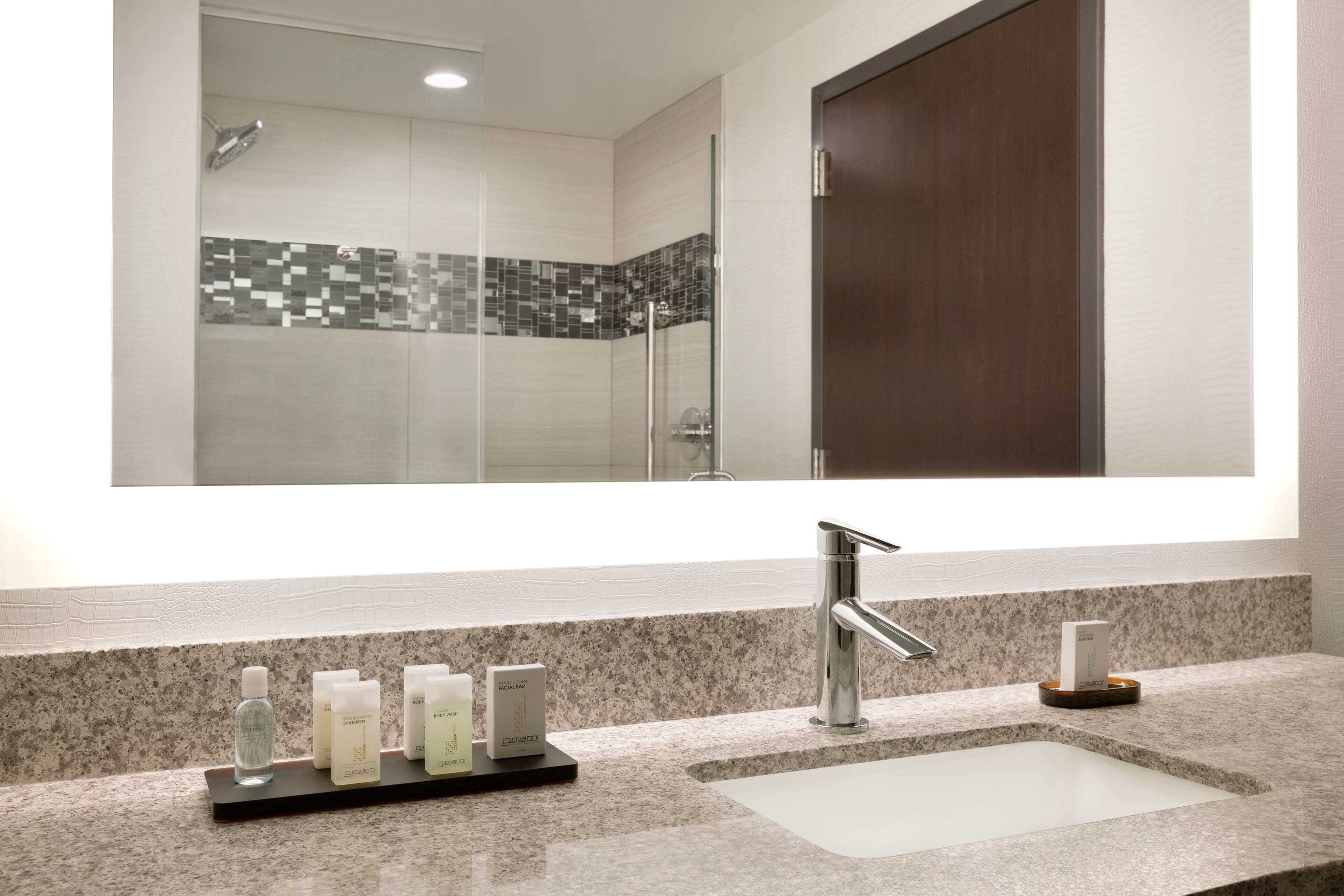 Embassy Suites by Hilton Atlanta NE Gwinnett Sugarloaf Embassy Suites by Hilton Atlanta NE Gwinnett Sugarloaf
