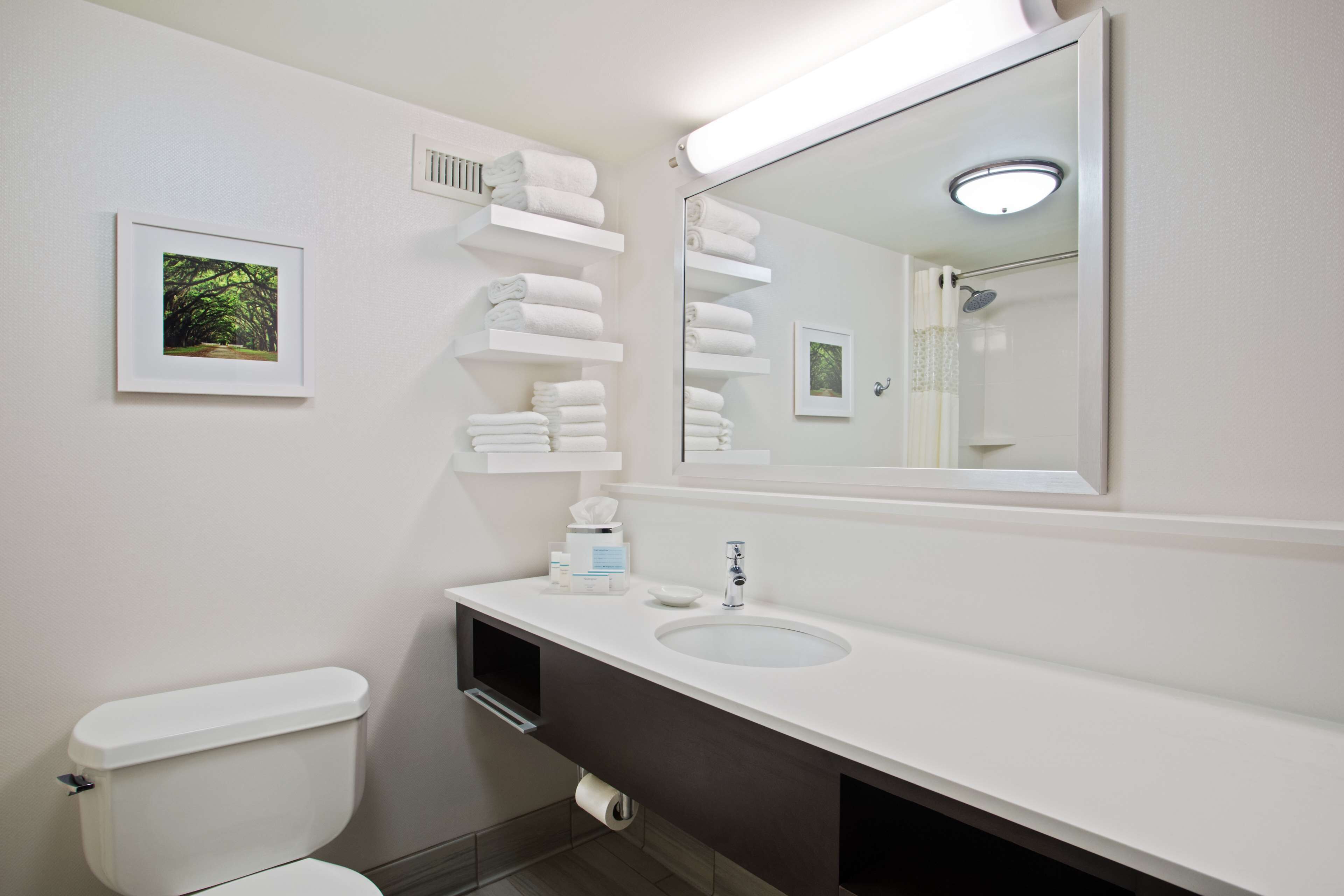 Hampton Inn & Suites Atlanta/Duluth/Gwinnett County Hampton Inn & Suites Atlanta/Duluth/Gwinnett County