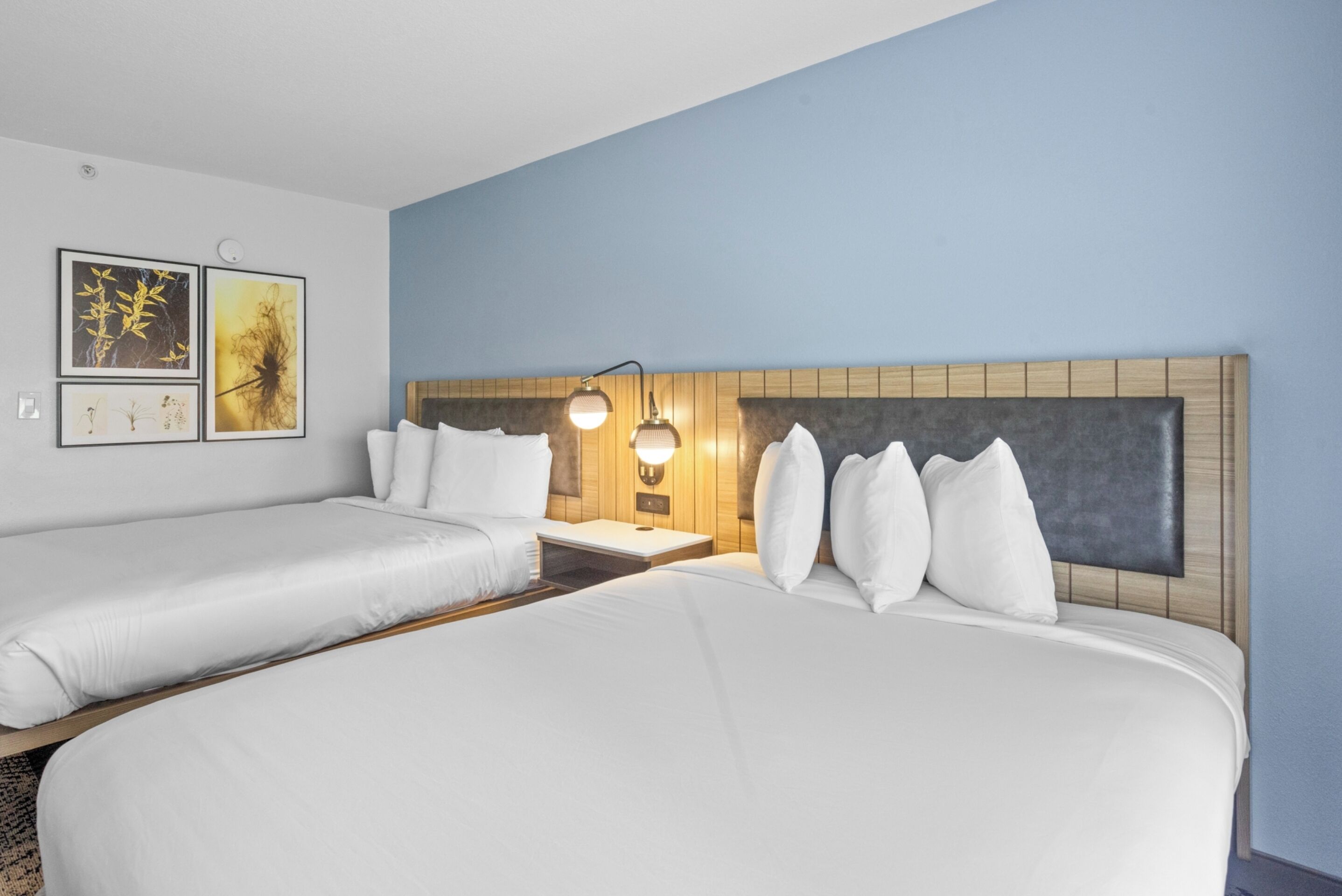 Country Inn & Suites by Radisson, Savannah Airport, GA Country Inn & Suites by Radisson, Savannah Airport, GA