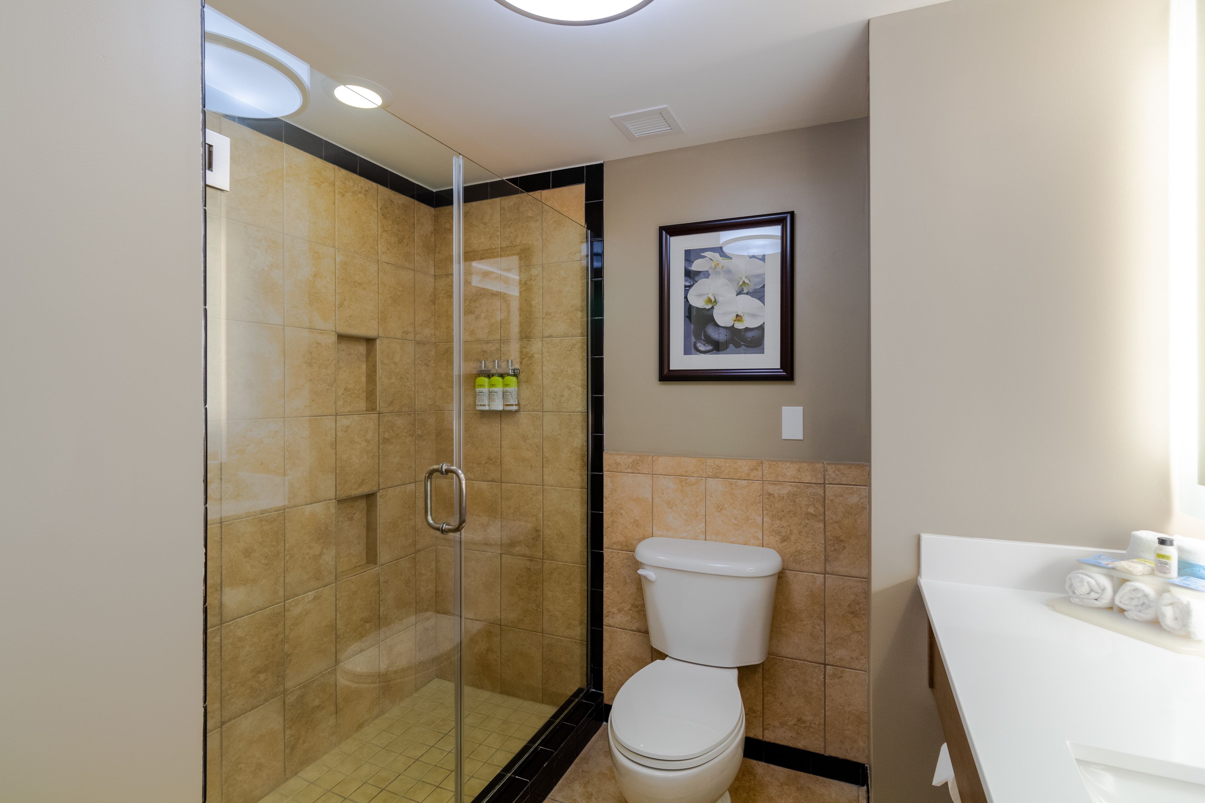 Holiday Inn Express Savannah-Historic District Holiday Inn Express Savannah-Historic District