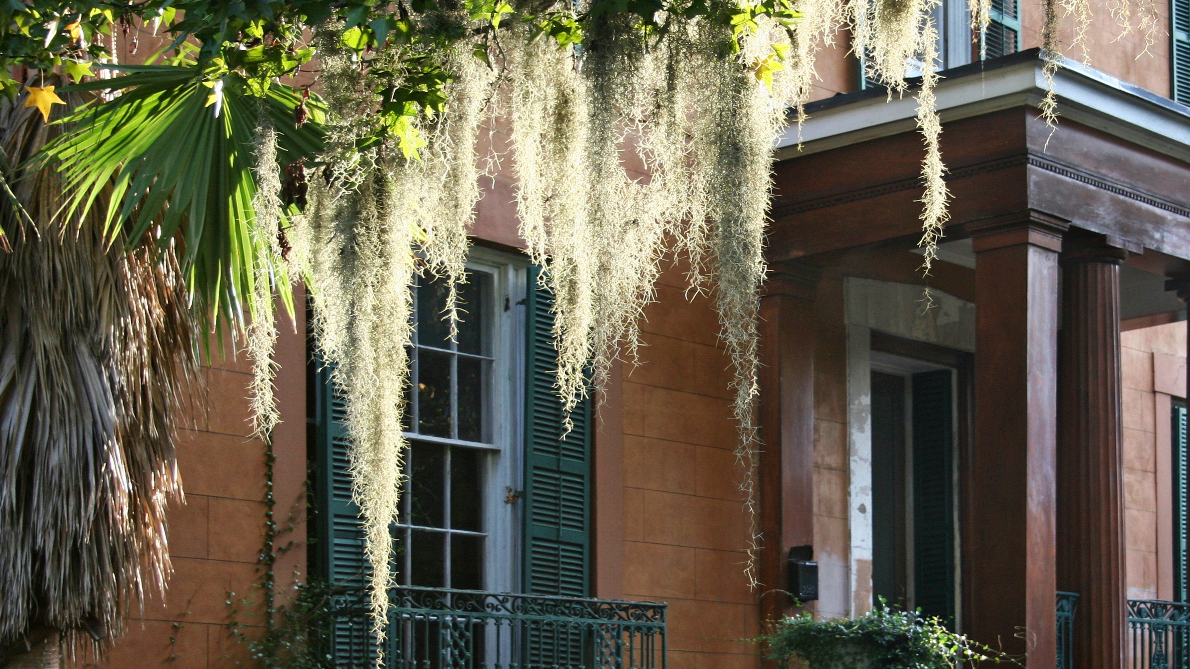 Hotel Indigo Savannah Historic District Hotel Indigo Savannah Historic District