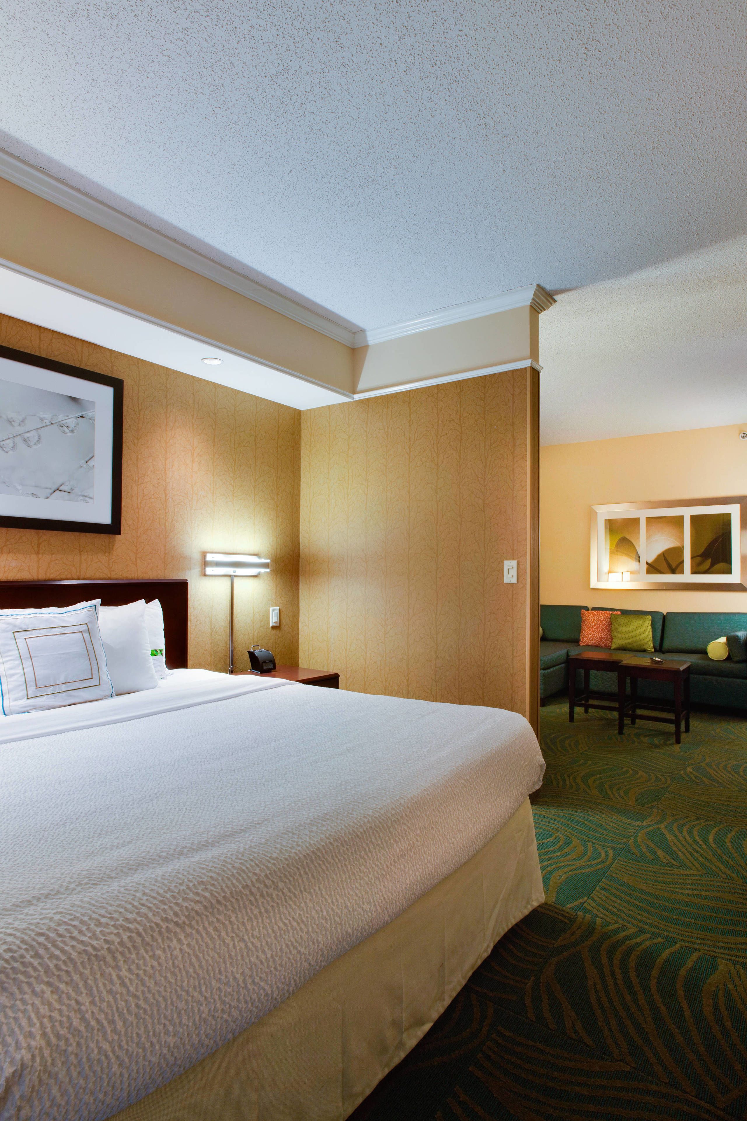 SpringHill Suites Savannah Airport SpringHill Suites Savannah Airport