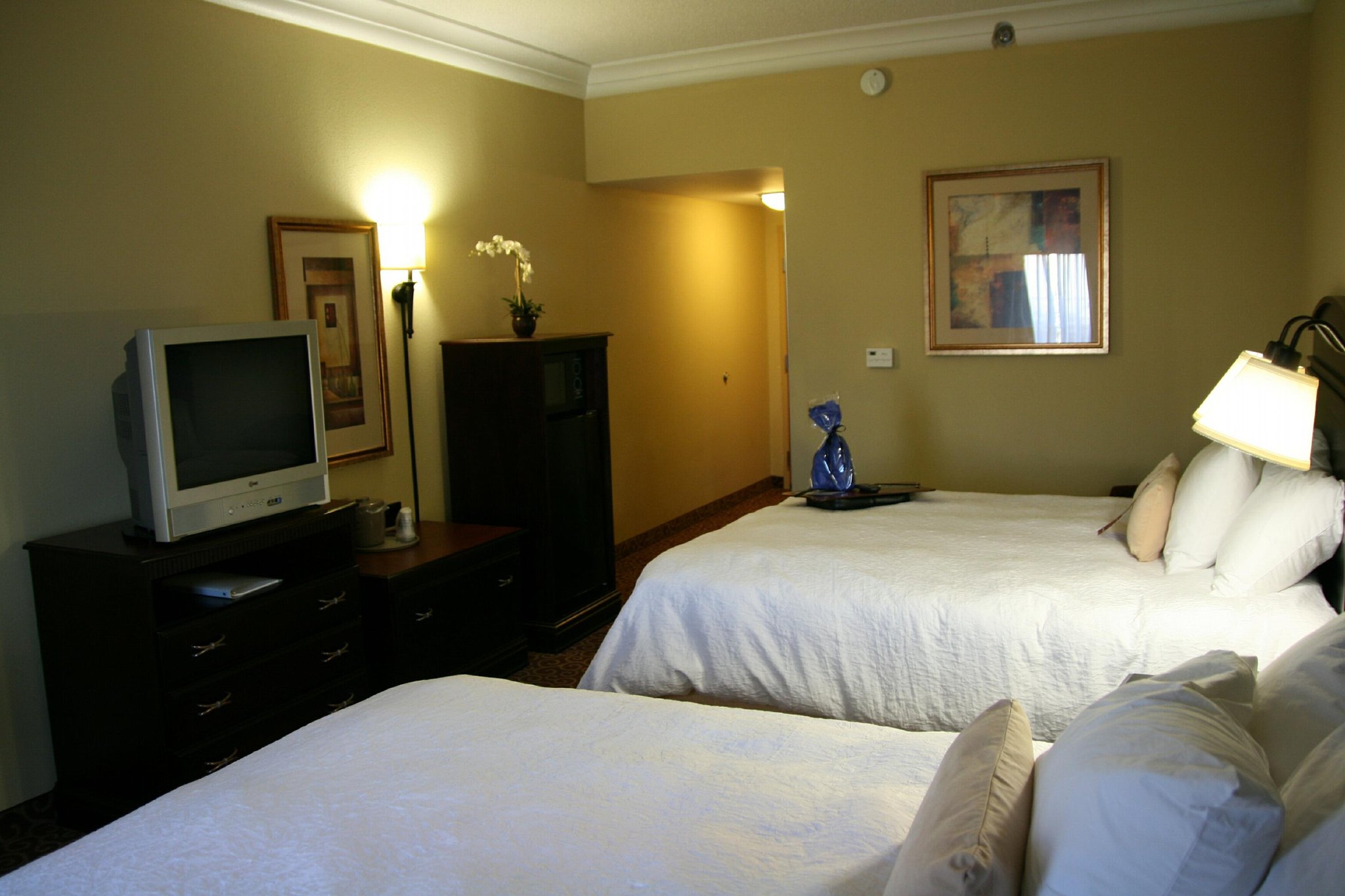 Hampton Inn Vidalia Hampton Inn Vidalia