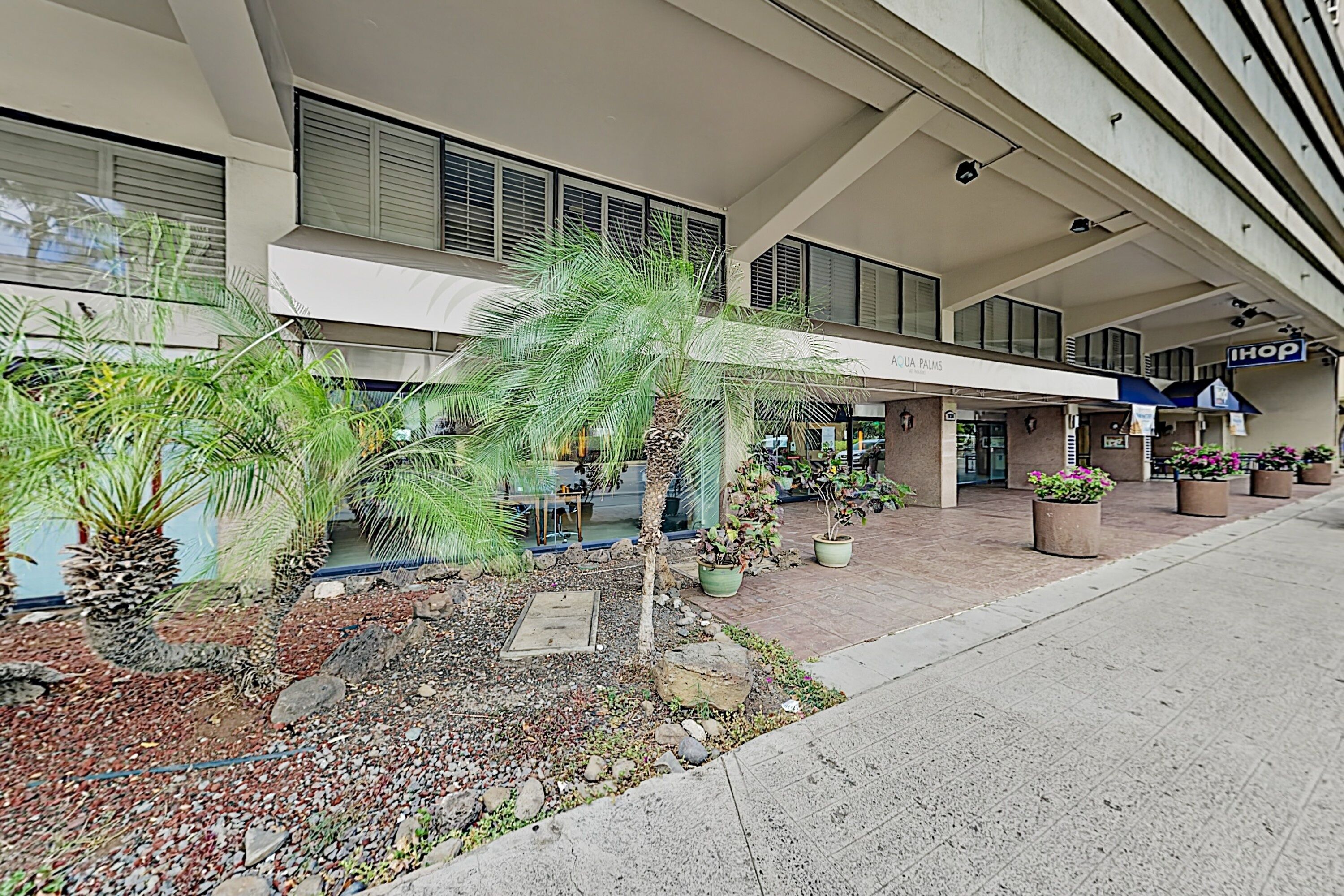 Palms by RedAwning Palms by RedAwning