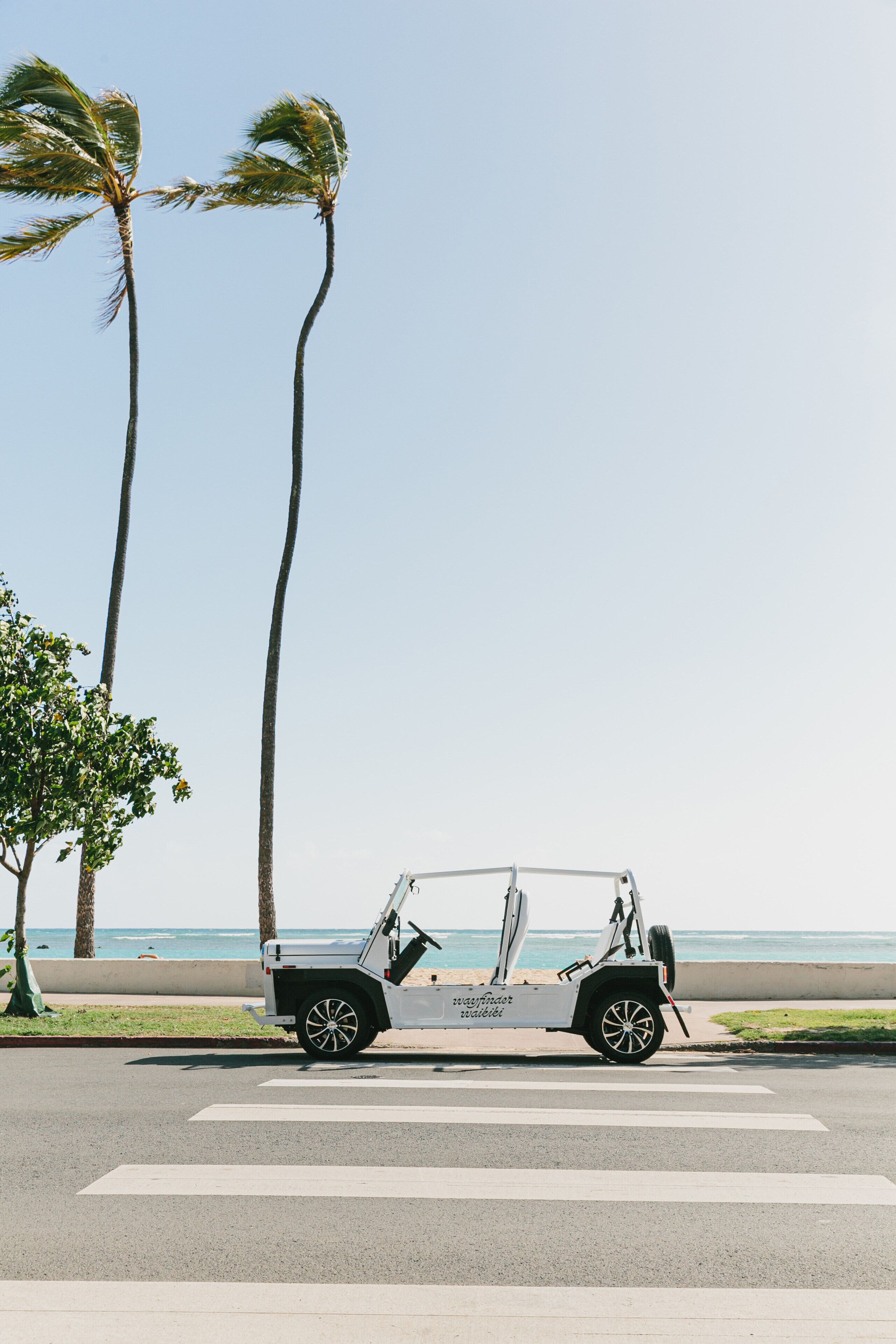 Wayfinder Waikiki Wayfinder Waikiki