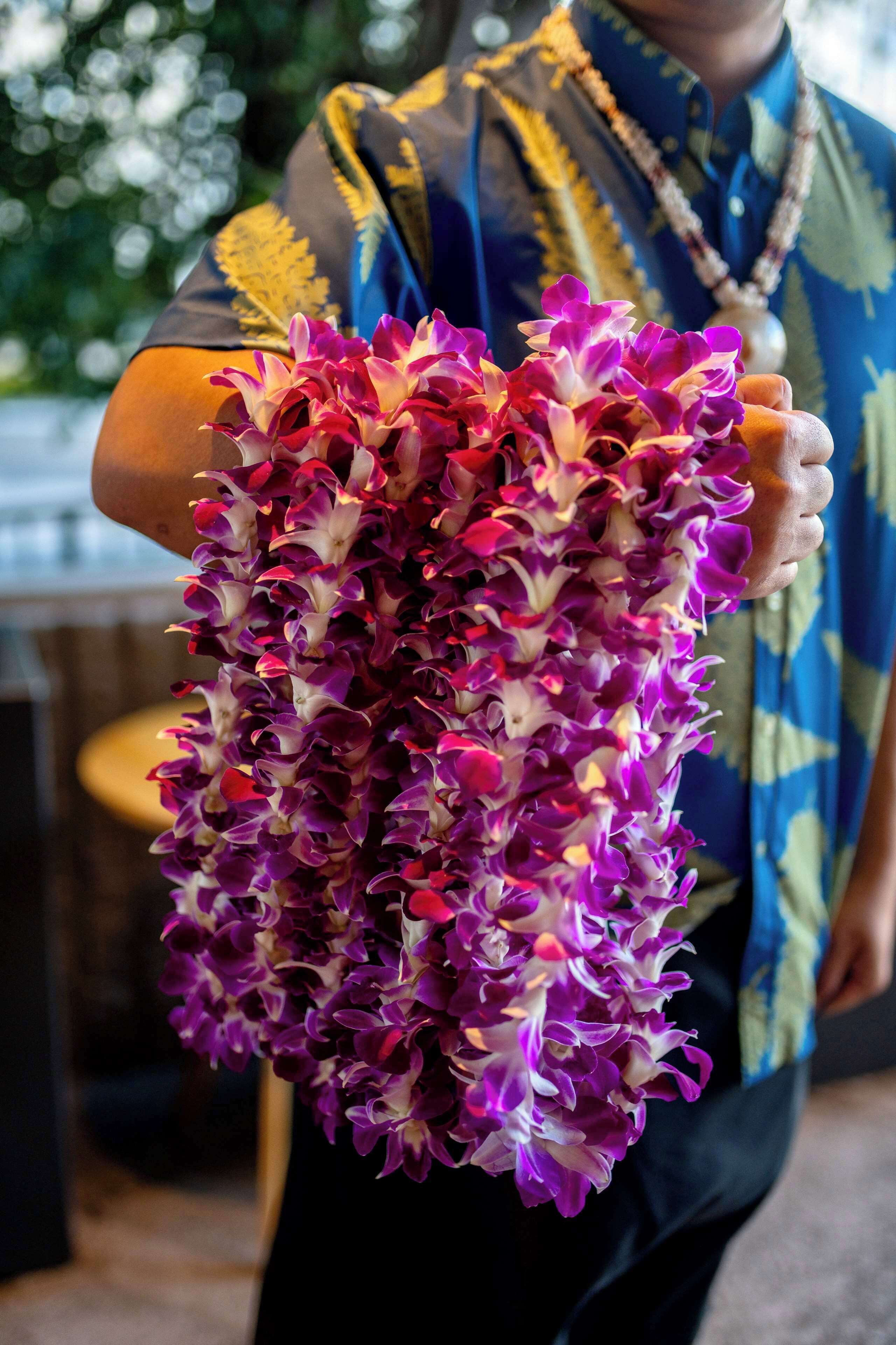 Wayfinder Waikiki Wayfinder Waikiki