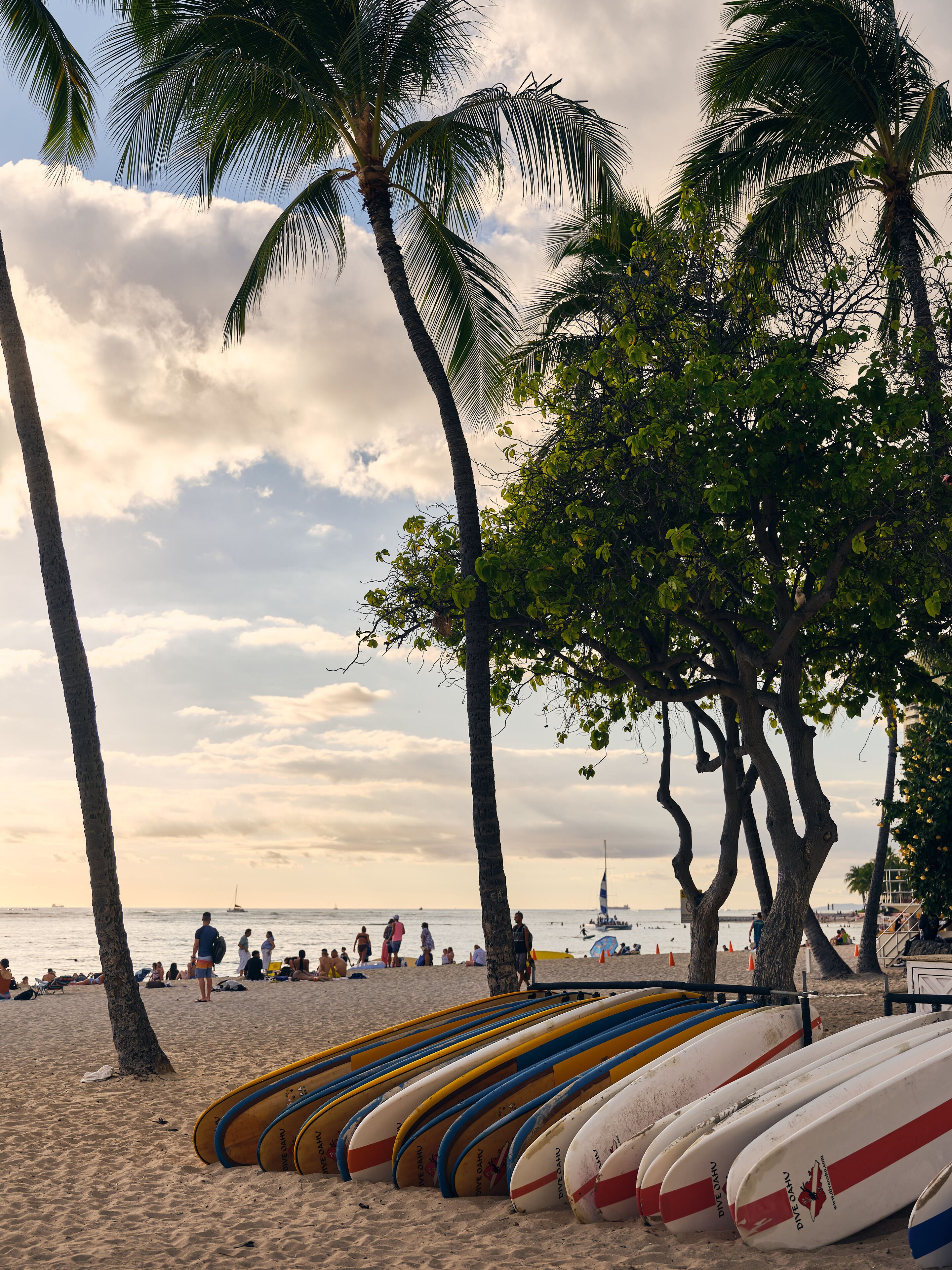 Wayfinder Waikiki Wayfinder Waikiki