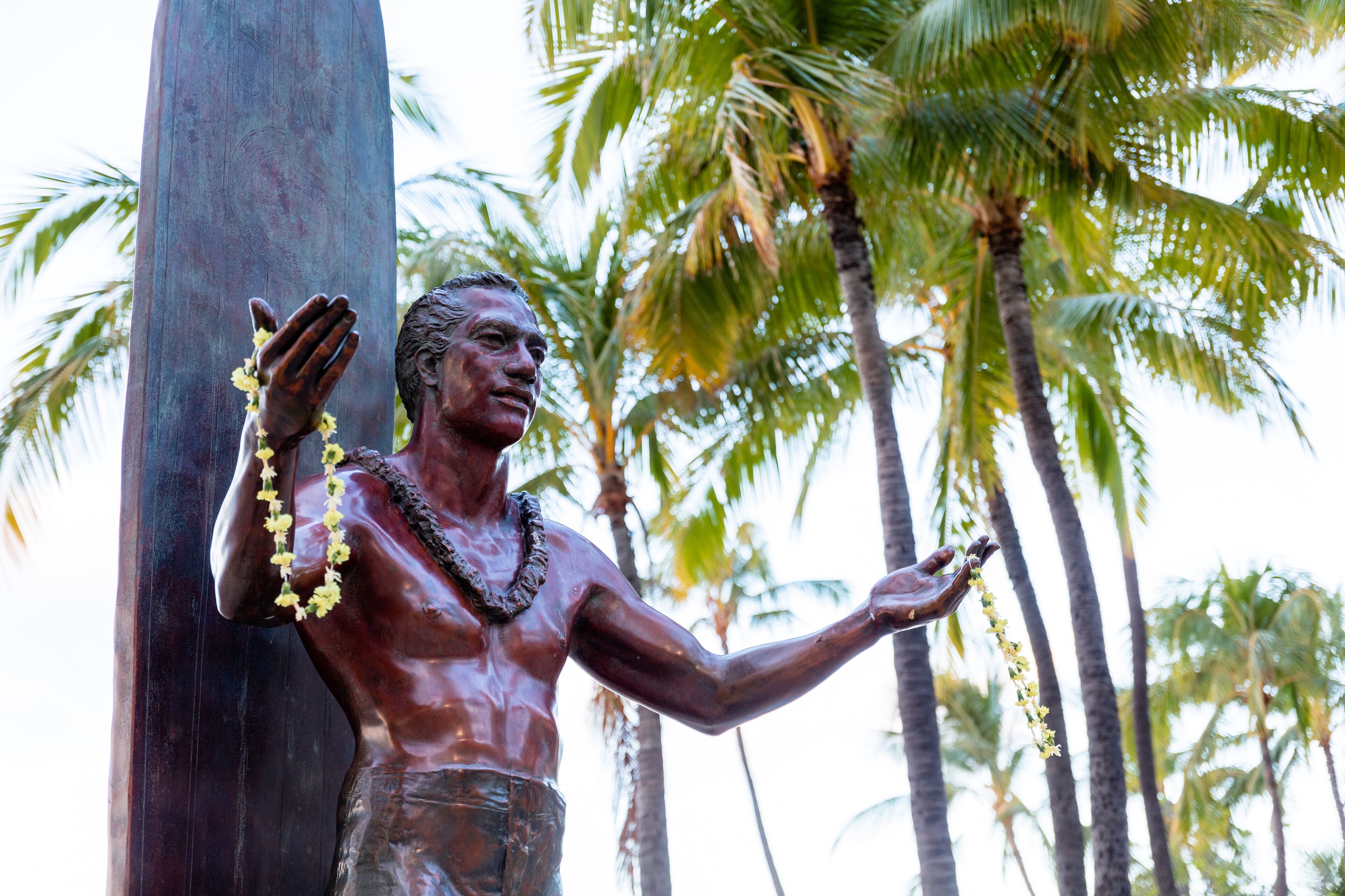Wayfinder Waikiki Wayfinder Waikiki