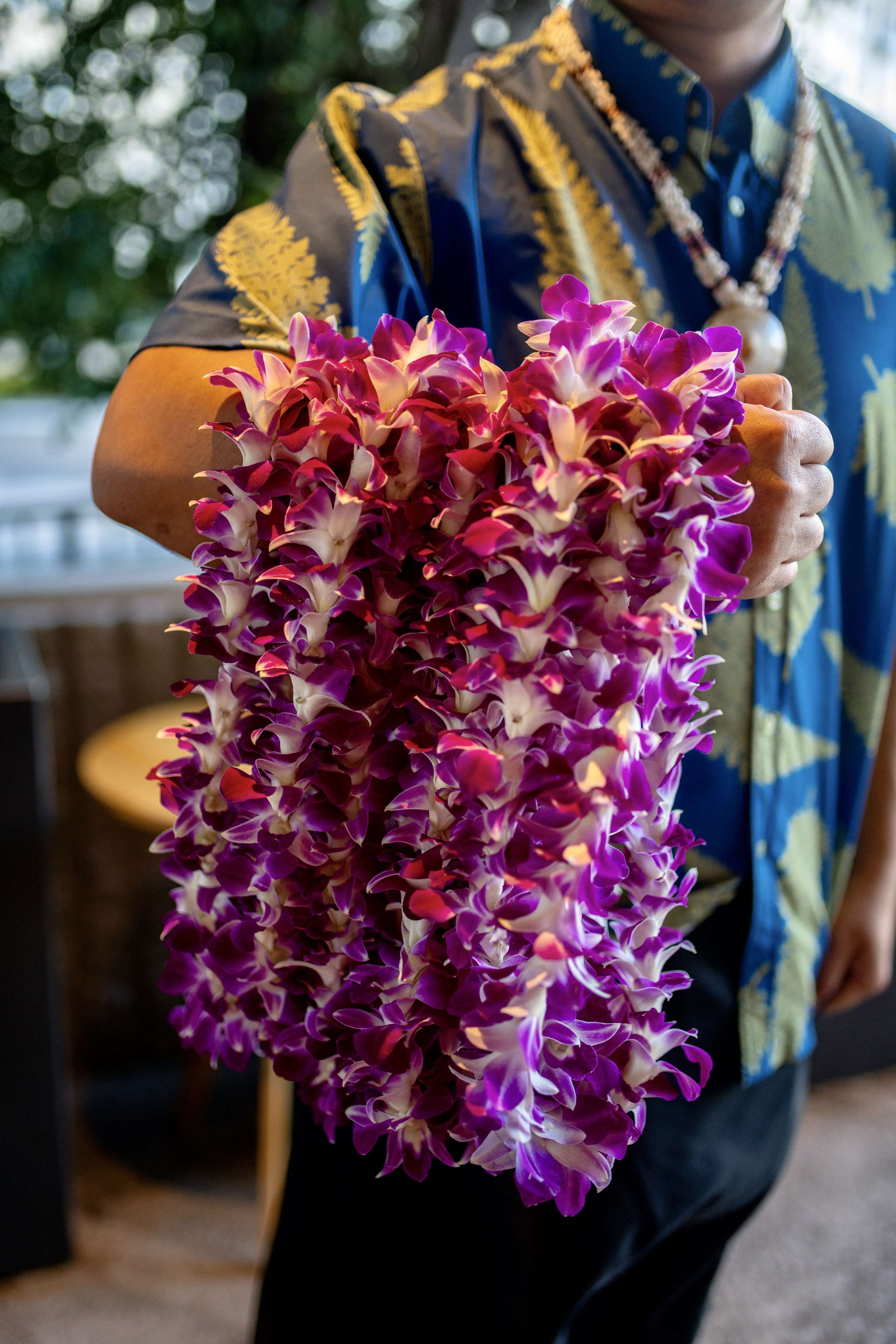 Wayfinder Waikiki Wayfinder Waikiki