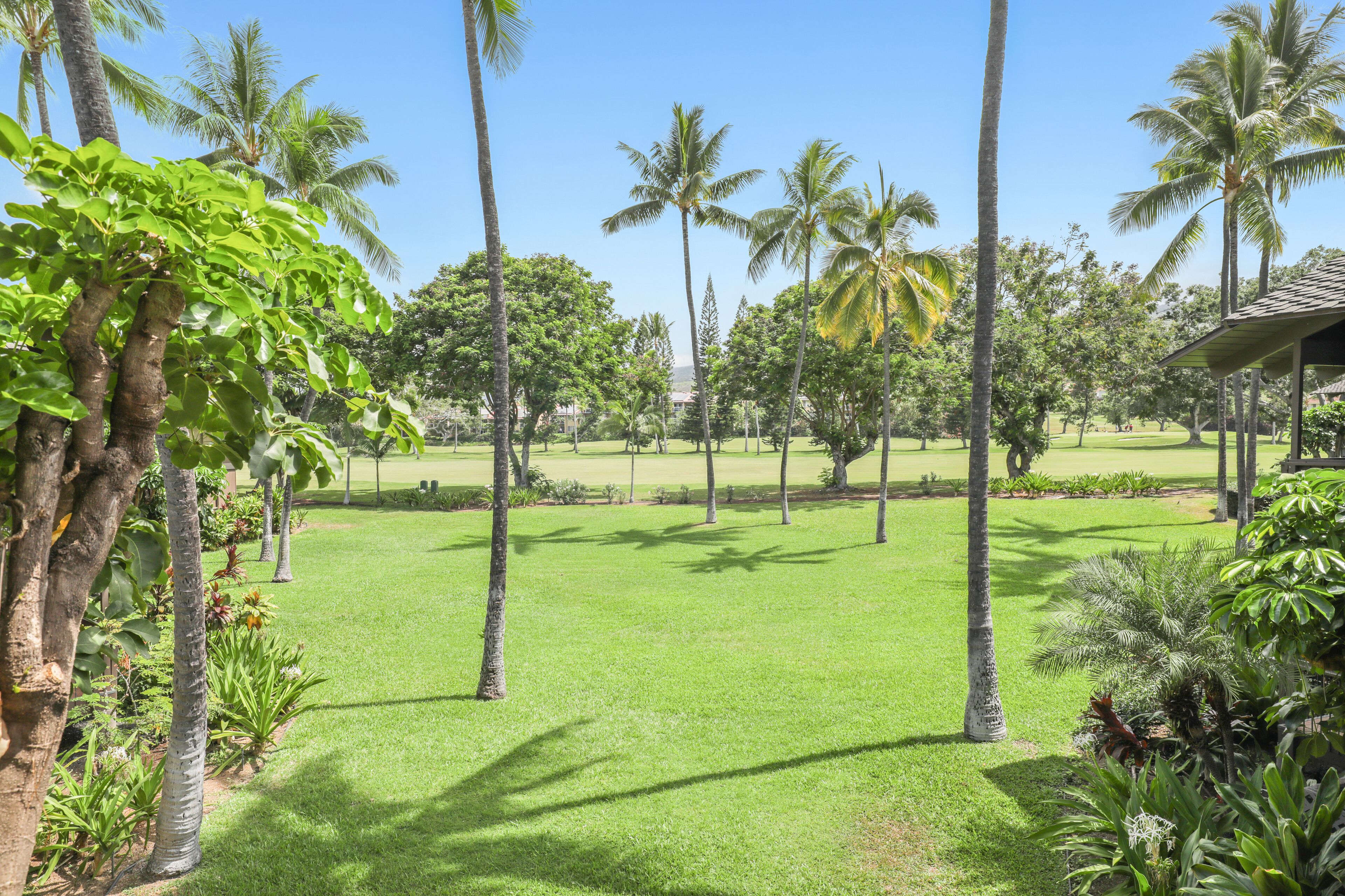 Kanaloa at Kona by Outrigger Kanaloa at Kona by Outrigger