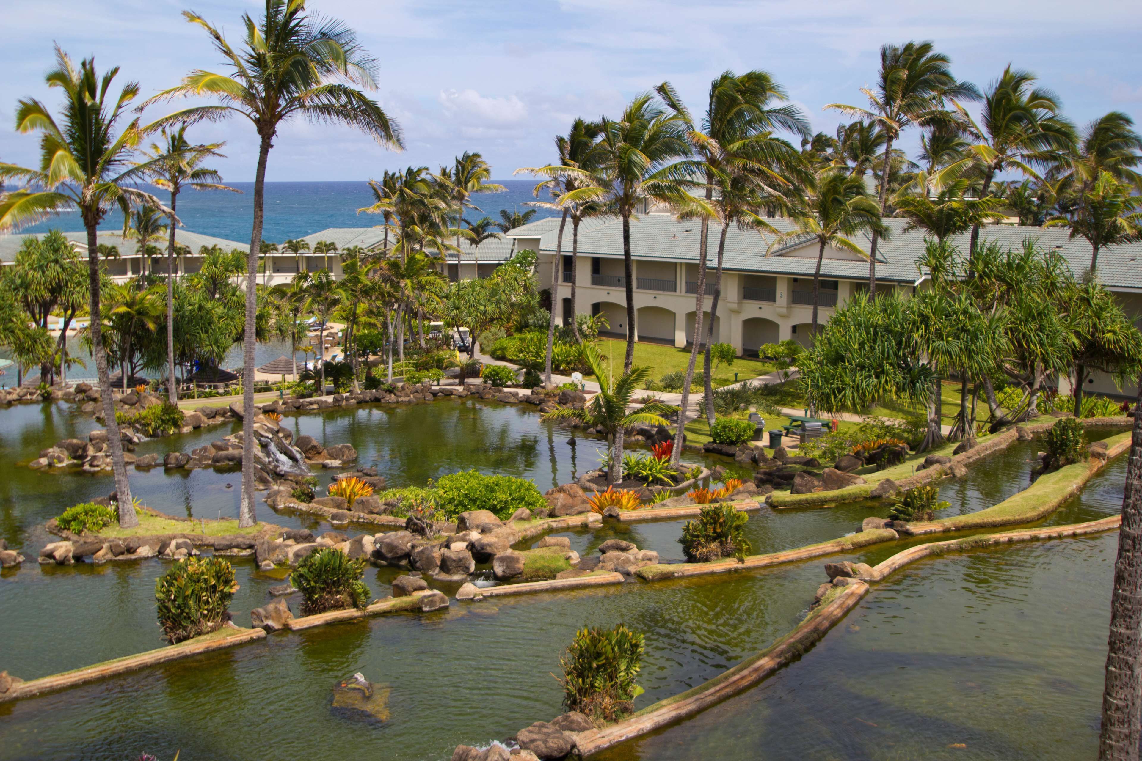 Hilton Vacation Club The Point at Poipu Kauai Hilton Vacation Club The Point at Poipu Kauai