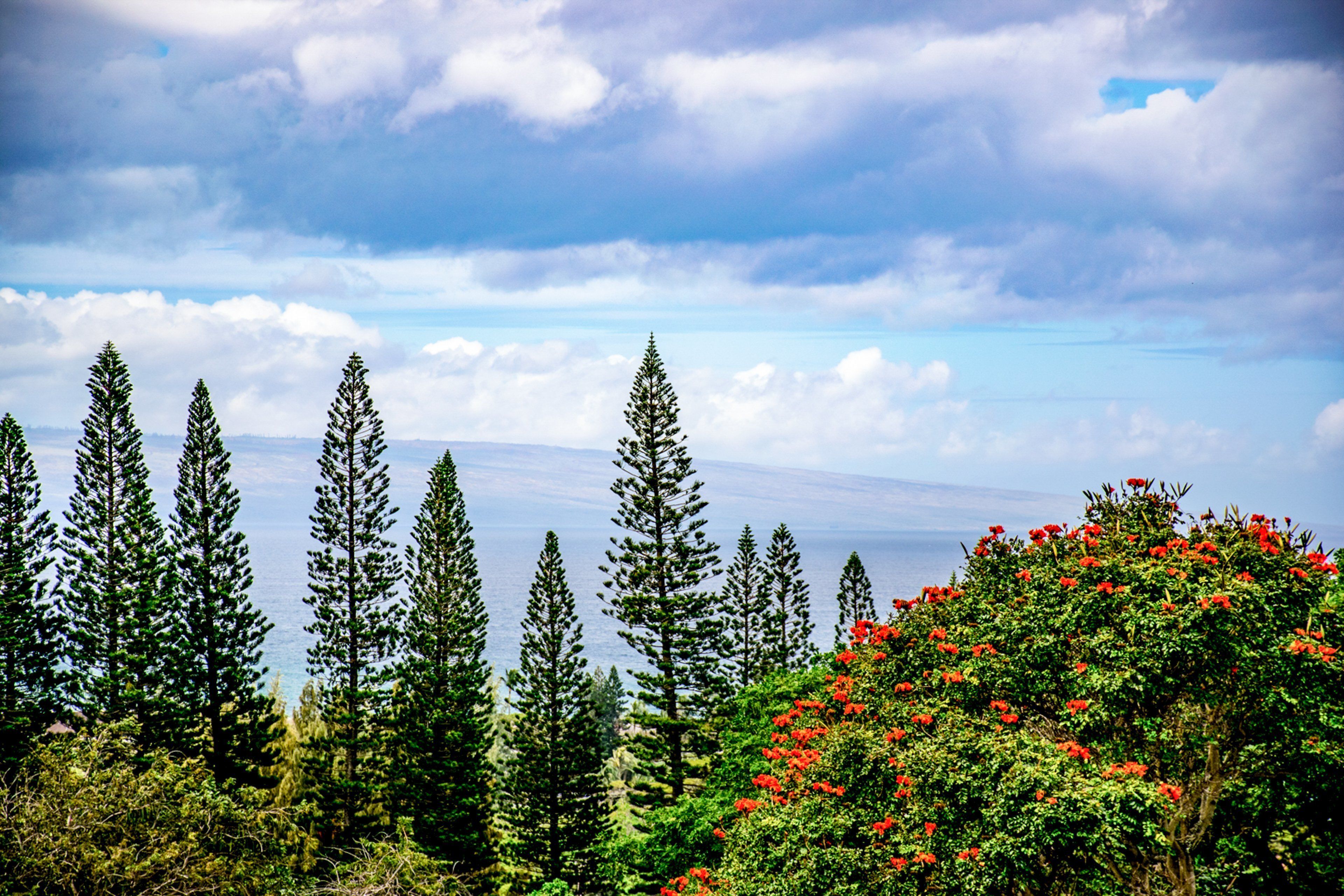 The Kapalua Villas Maui by OUTRIGGER The Kapalua Villas Maui by OUTRIGGER