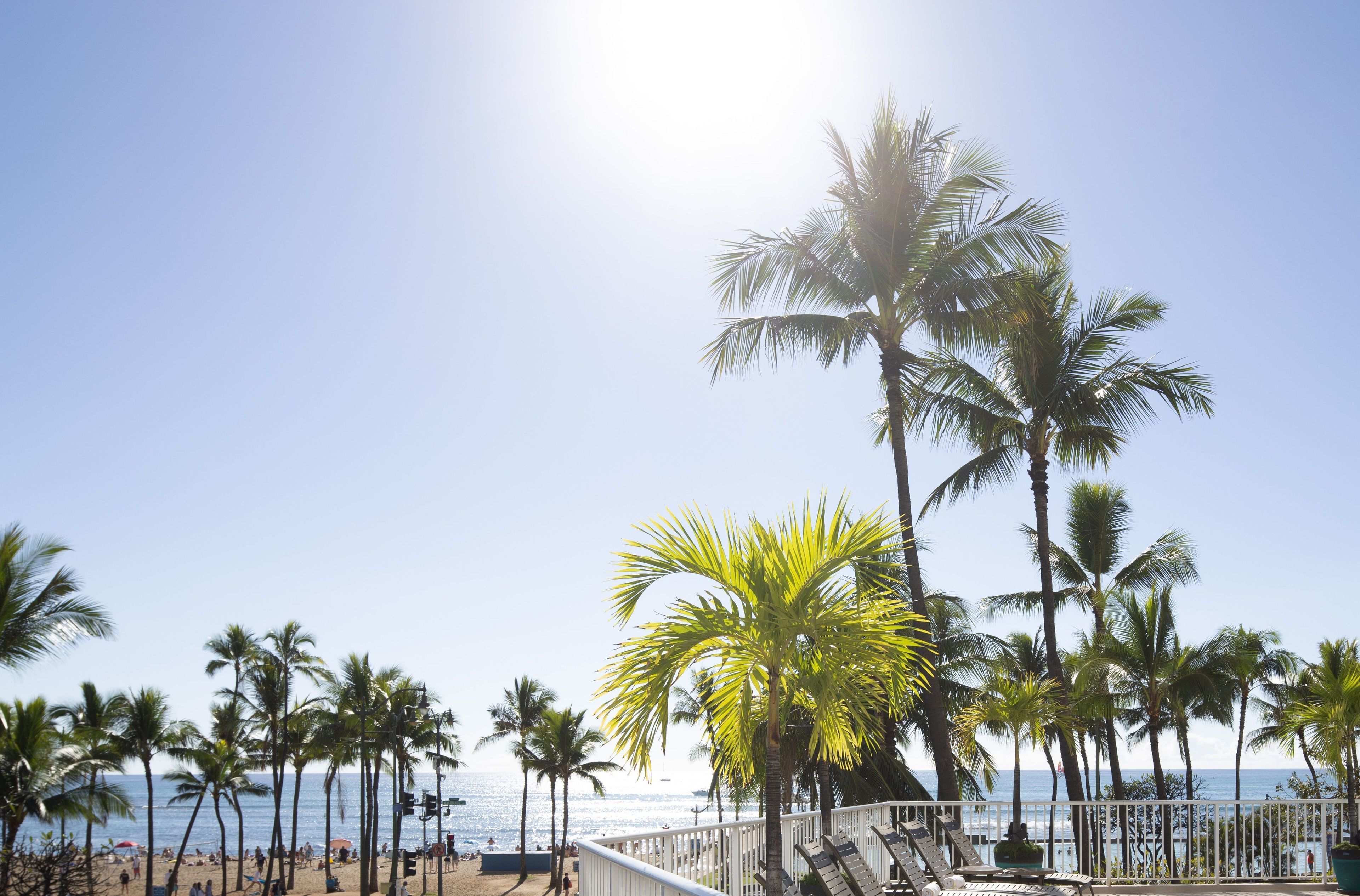 Park Shore Waikiki Park Shore Waikiki