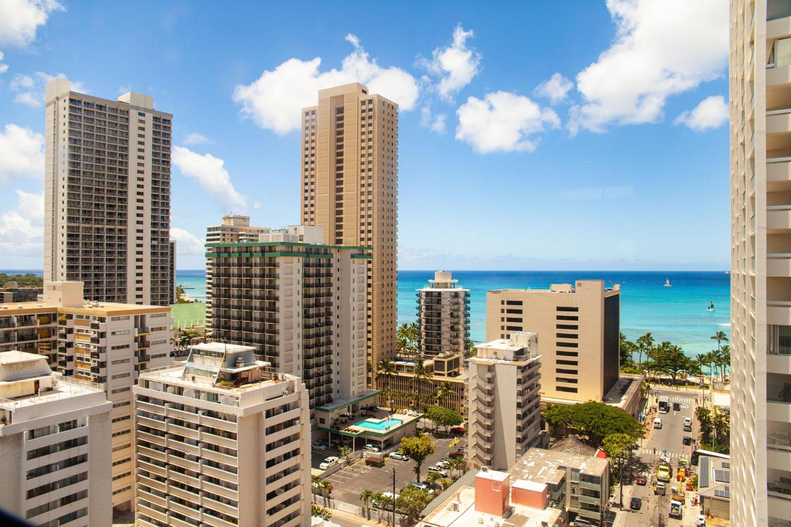 Vive Waikiki Vive Waikiki