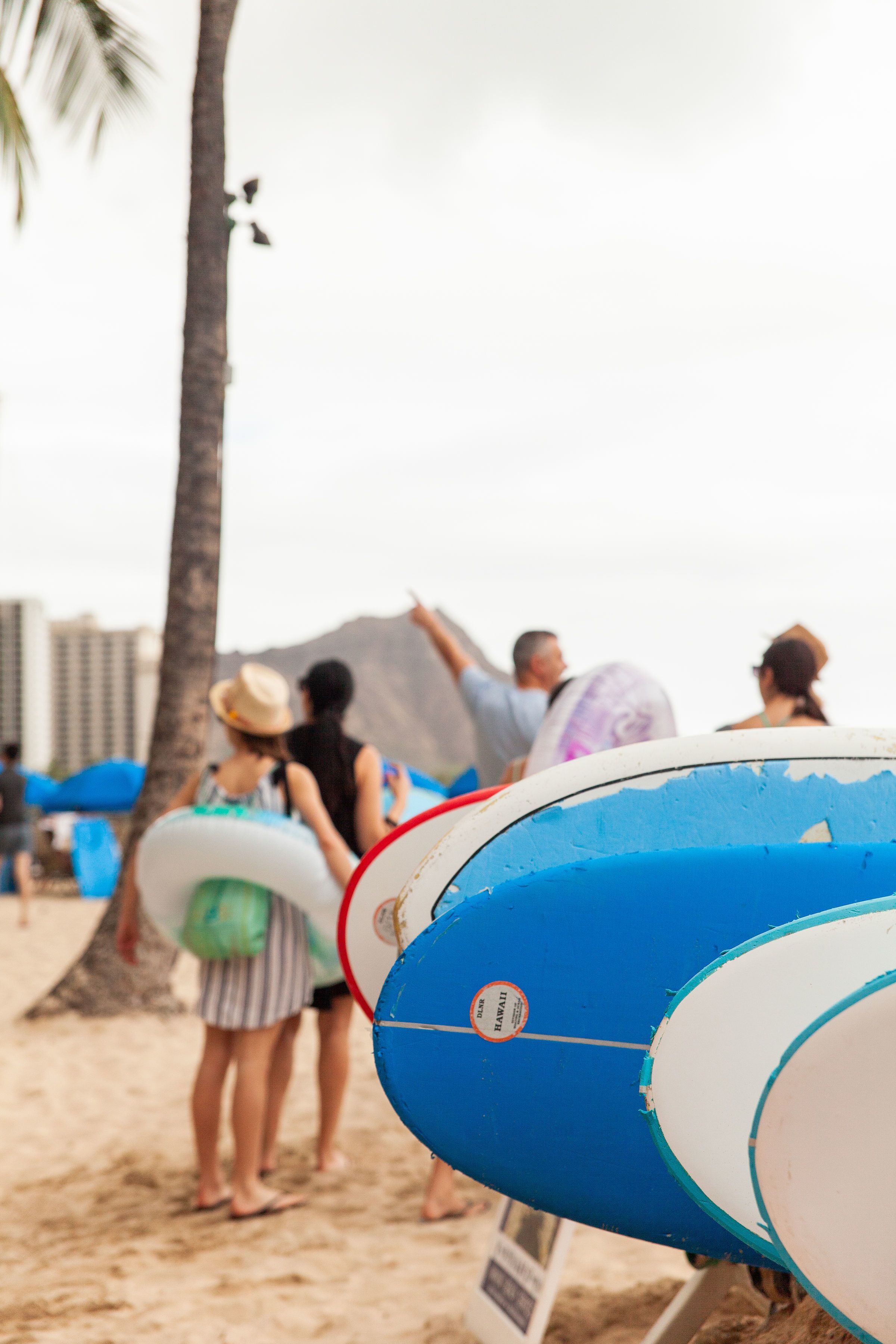 Vive Waikiki Vive Waikiki