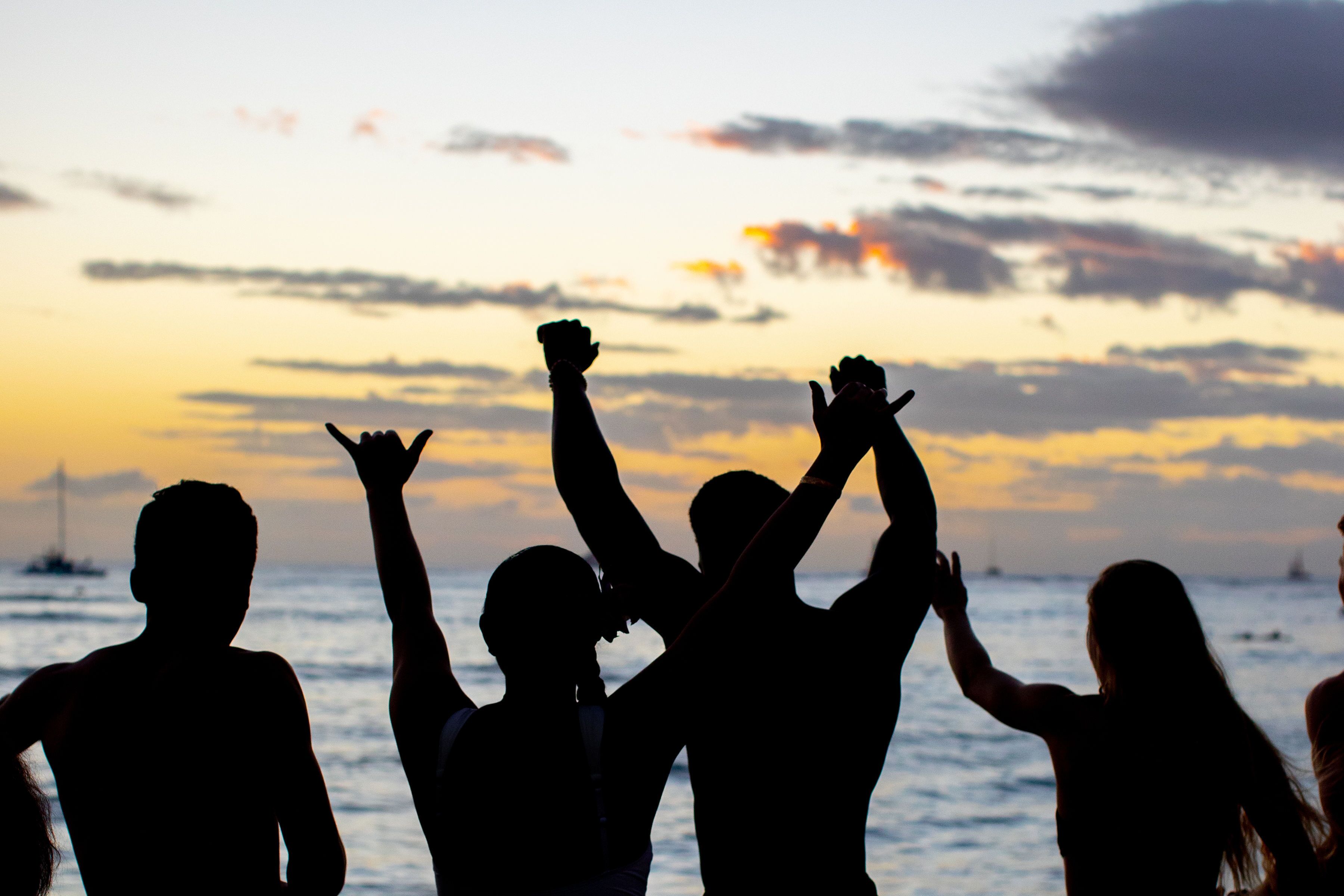 Vive Waikiki Vive Waikiki