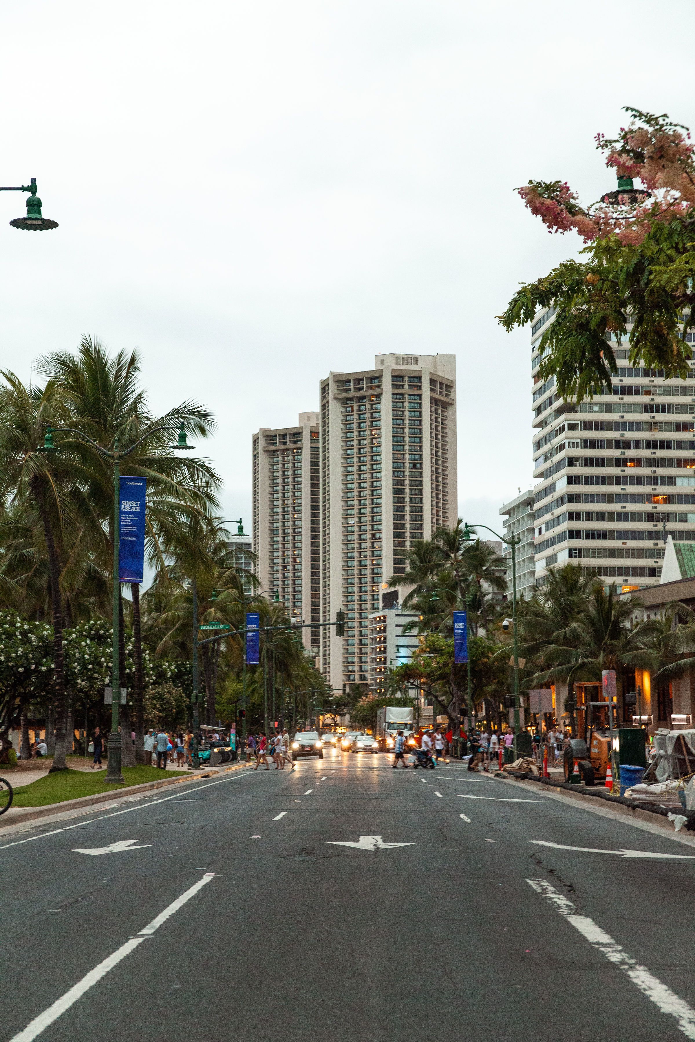 Vive Waikiki Vive Waikiki