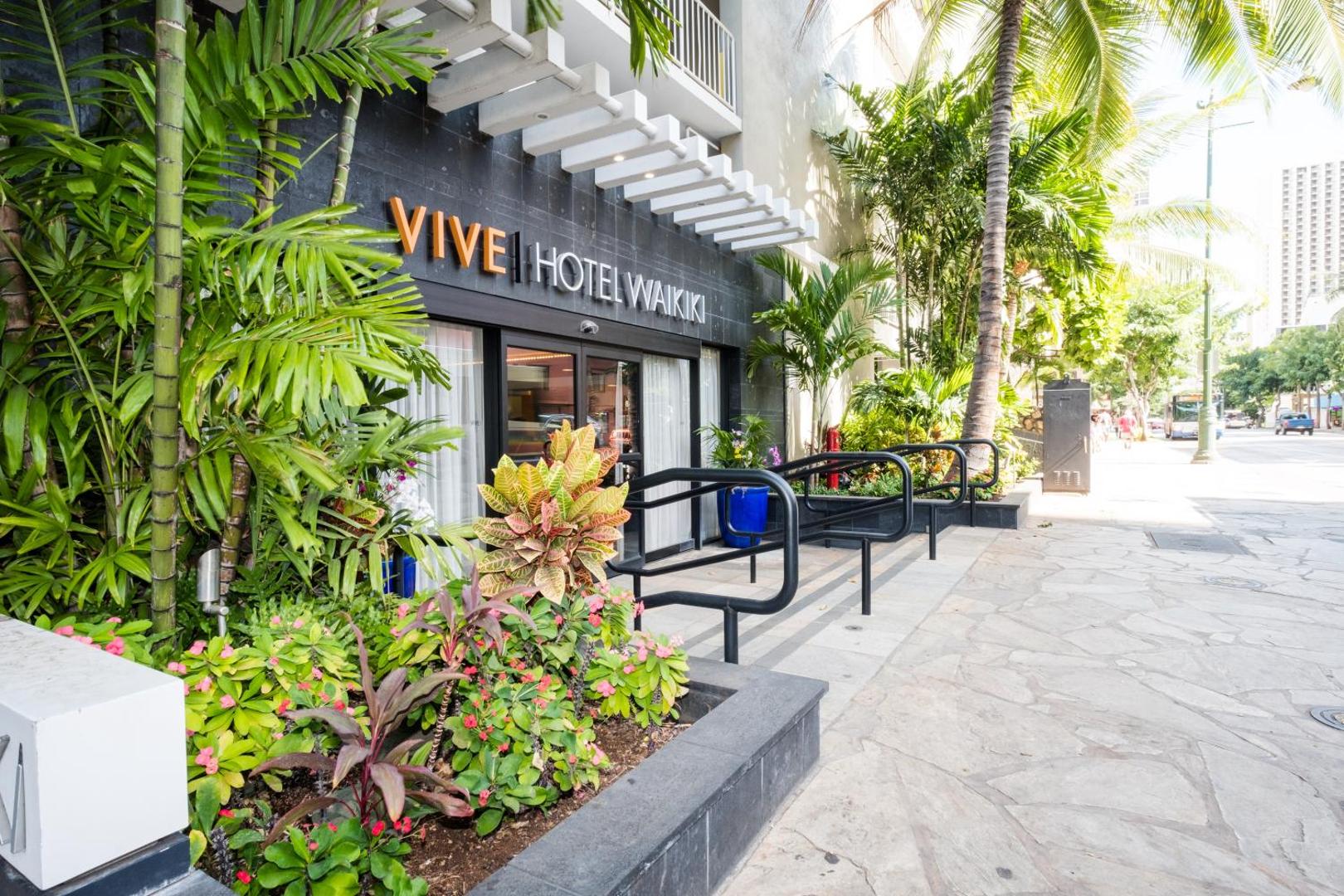 Vive Waikiki Vive Waikiki