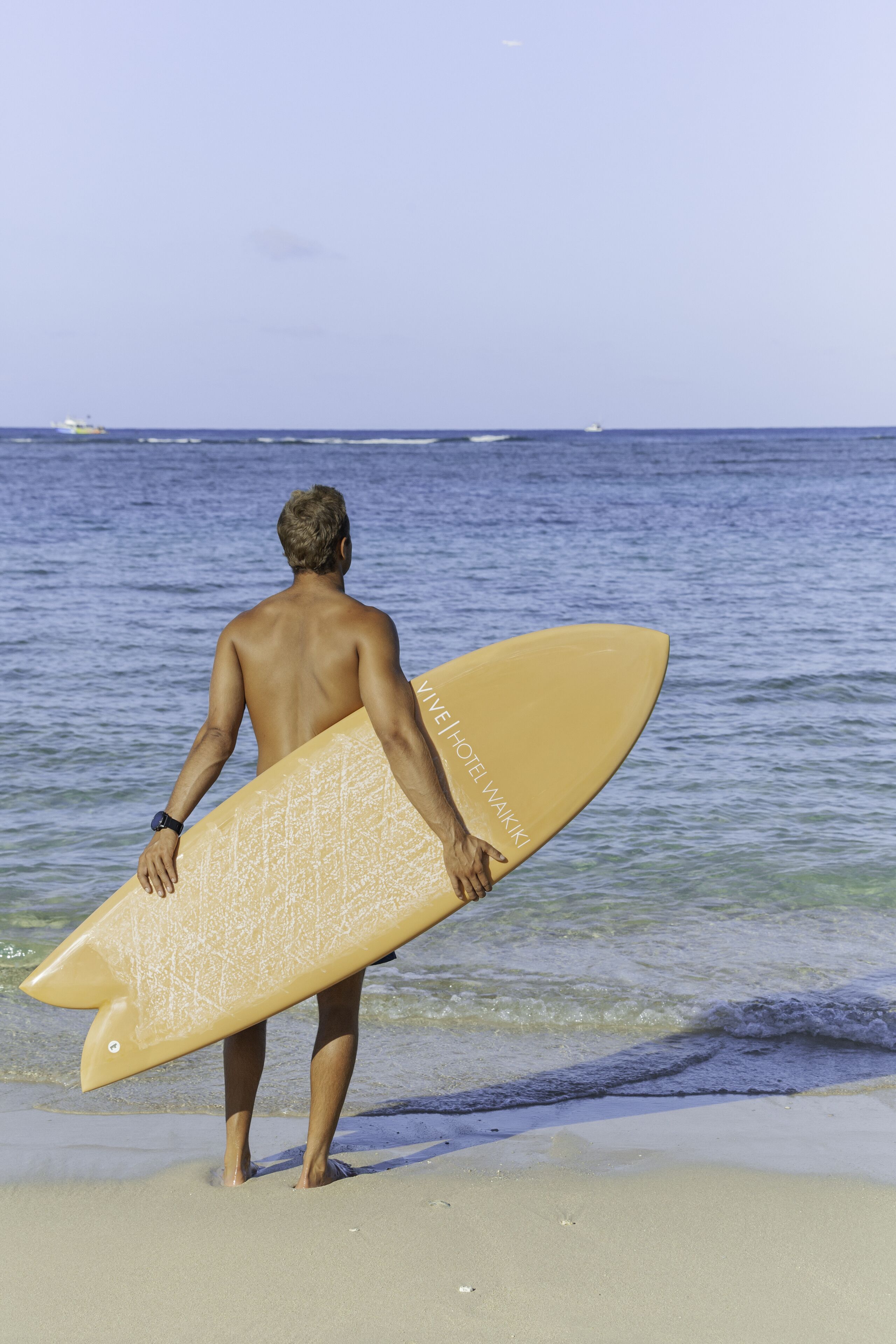 Vive Waikiki Vive Waikiki