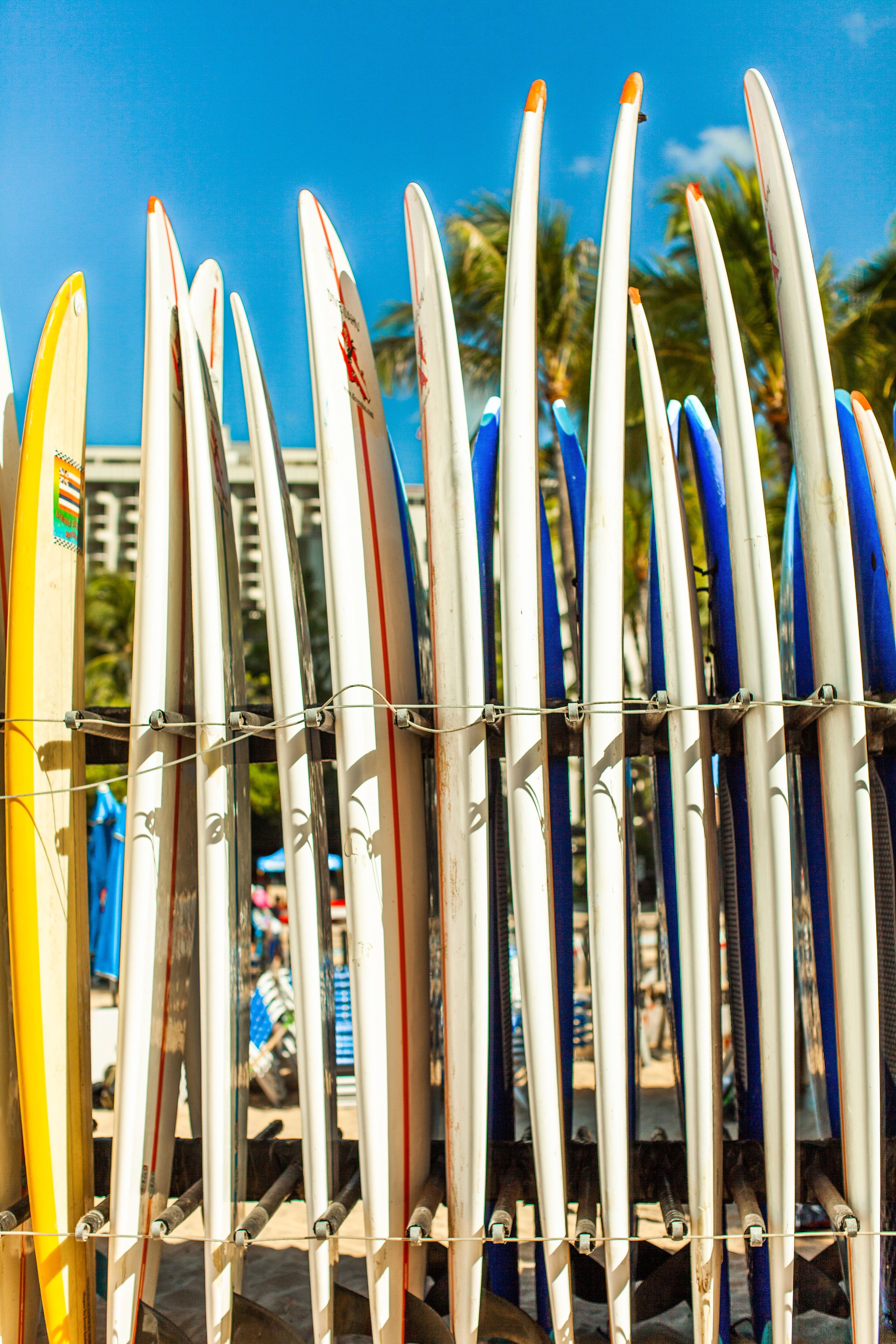 Vive Waikiki Vive Waikiki